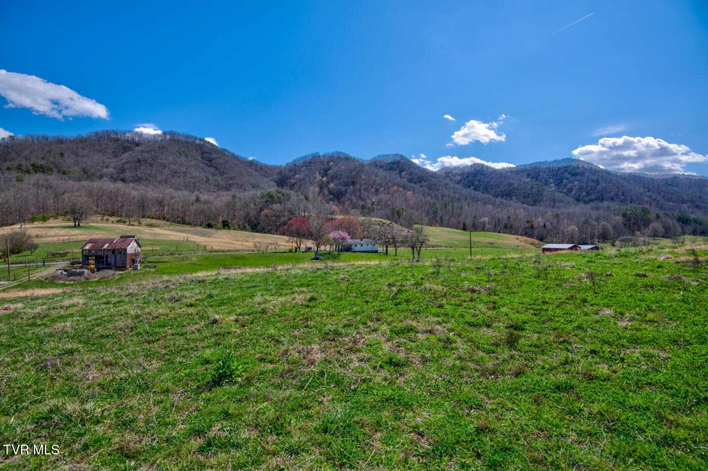 1157 Spruce Pine Road Property Photo 25