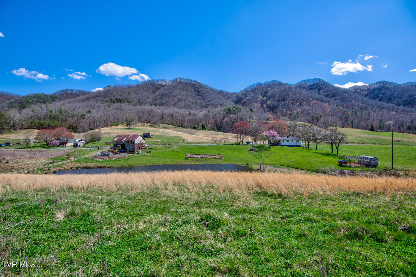 1157 Spruce Pine Road Property Photo 26