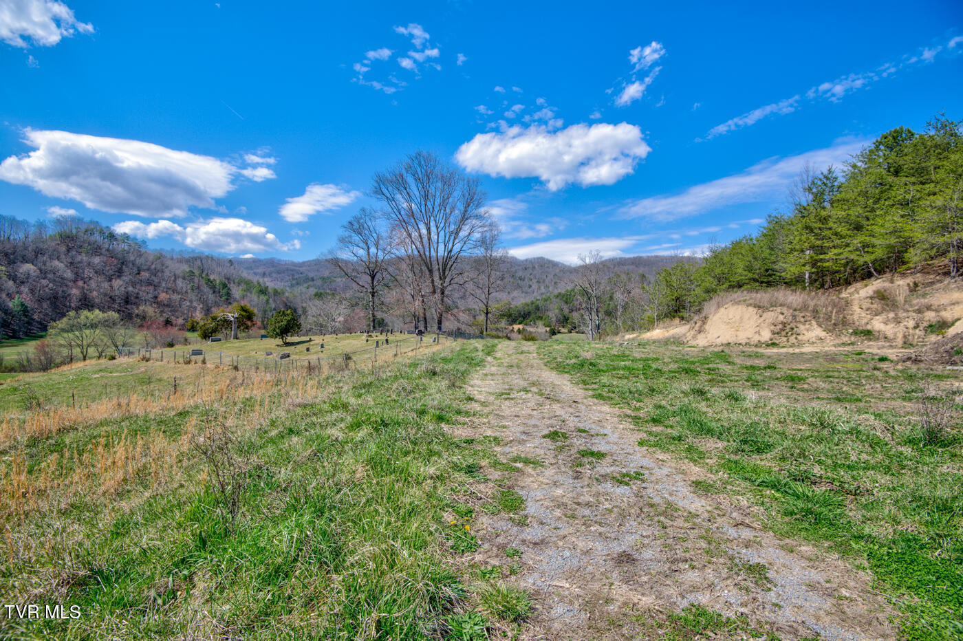 1157 Spruce Pine Road Property Photo 28