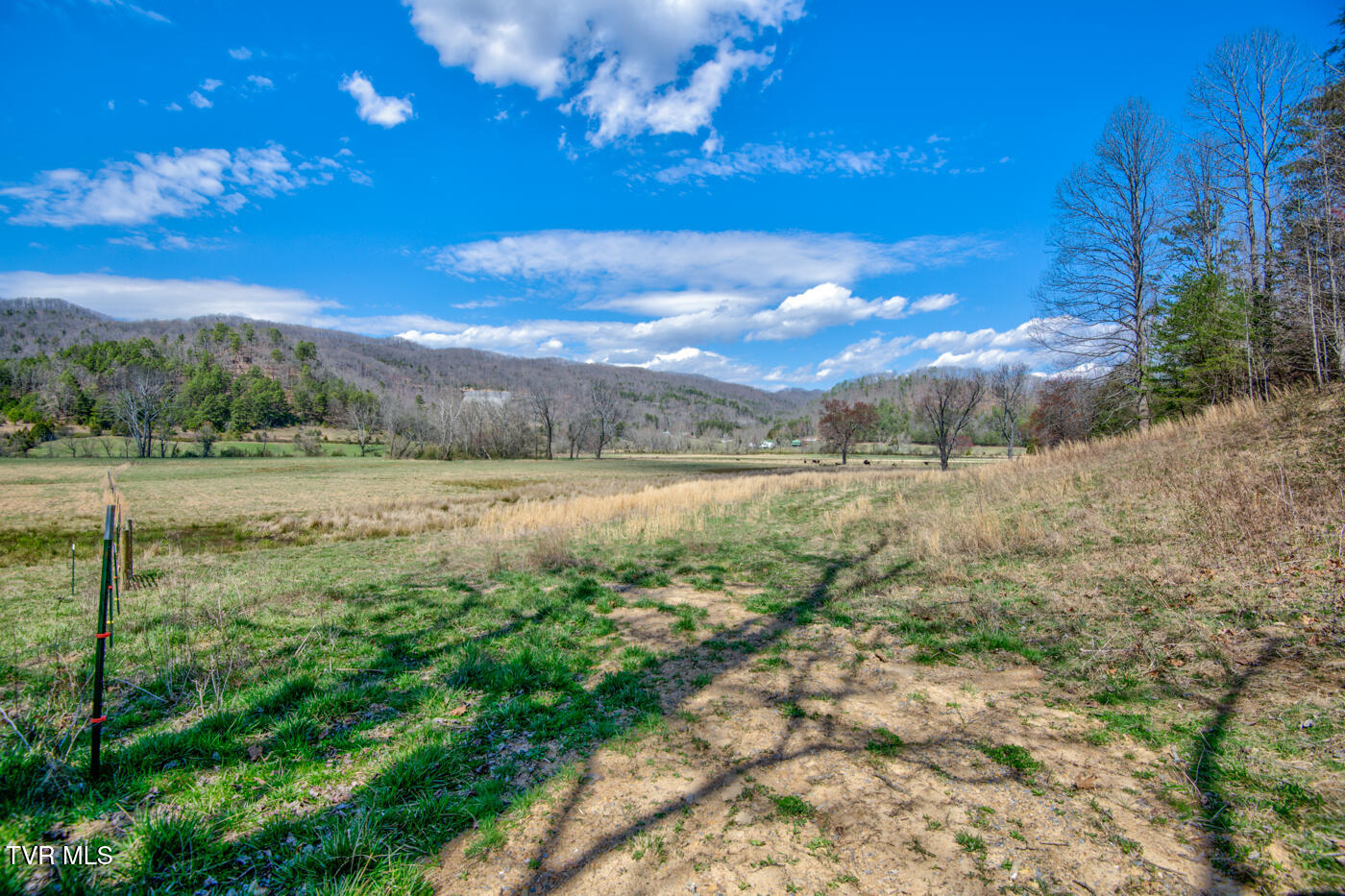 1157 Spruce Pine Road Property Photo 30