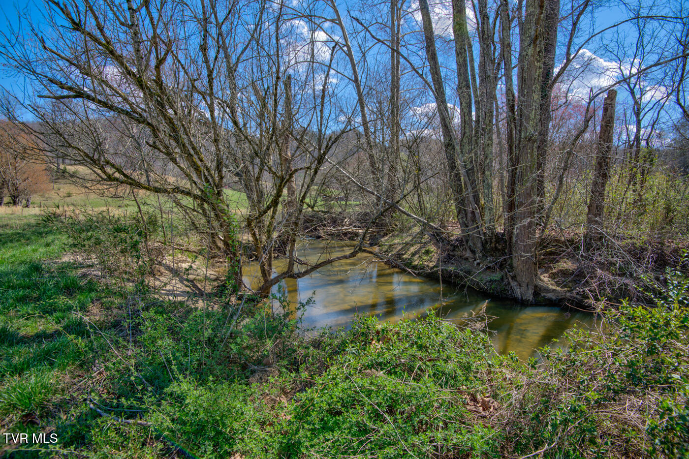 1157 Spruce Pine Road Property Photo 32