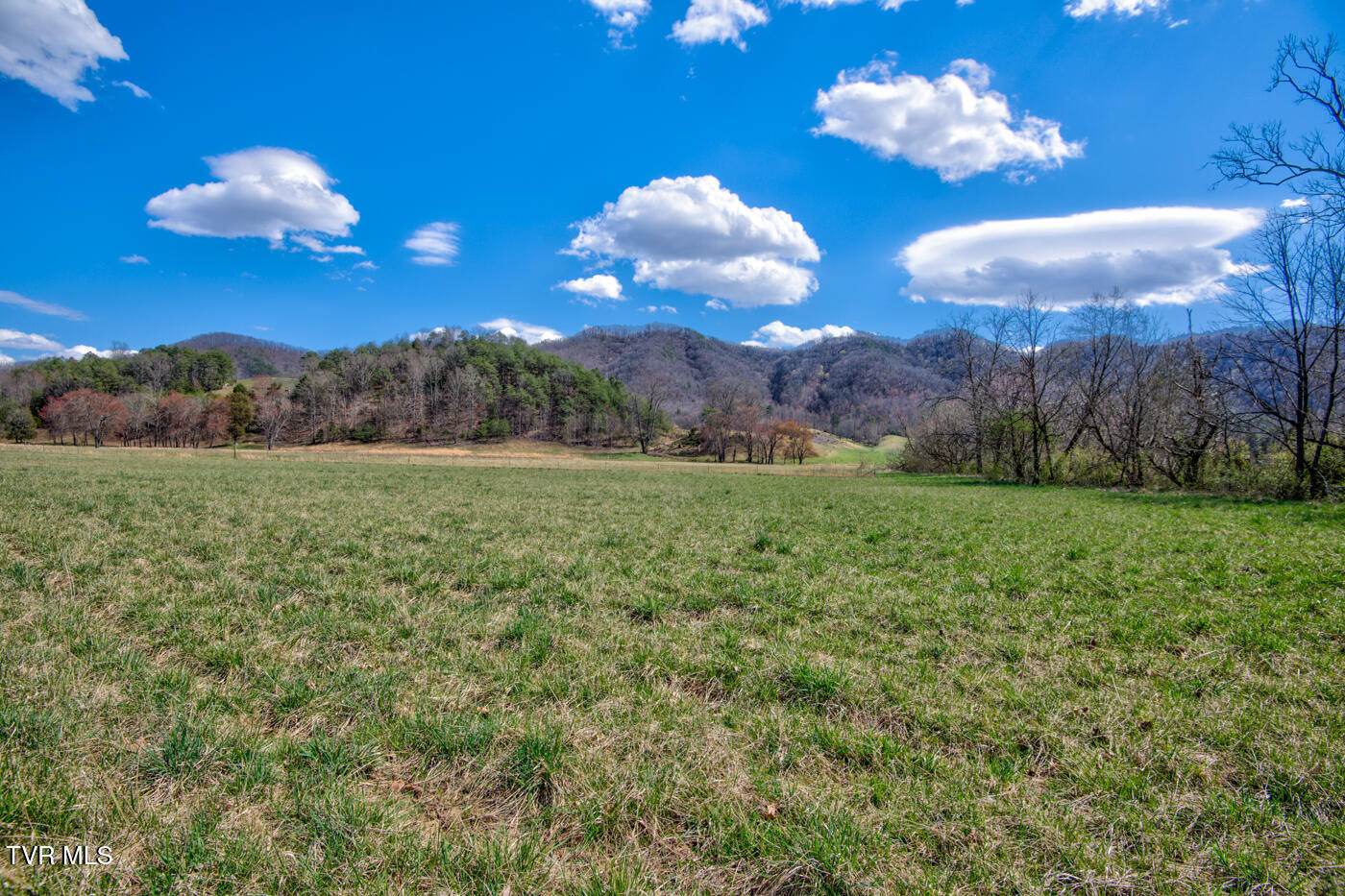 1157 Spruce Pine Road Property Photo 55