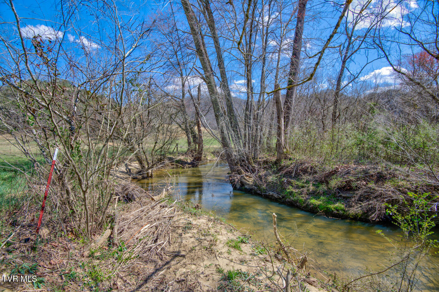 1157 Spruce Pine Road Property Photo 56