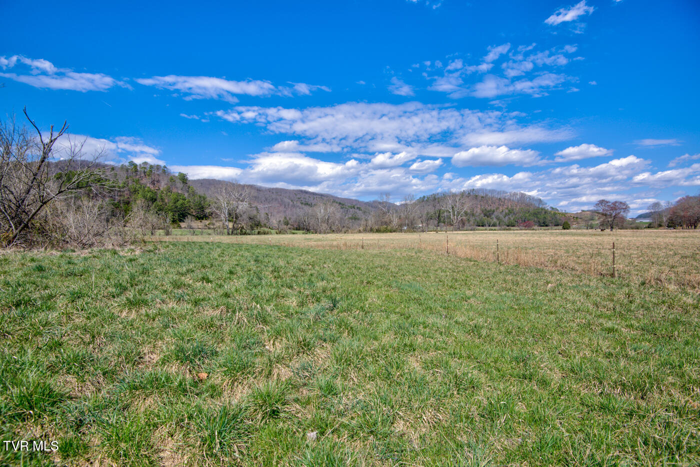 1157 Spruce Pine Road Property Photo 58