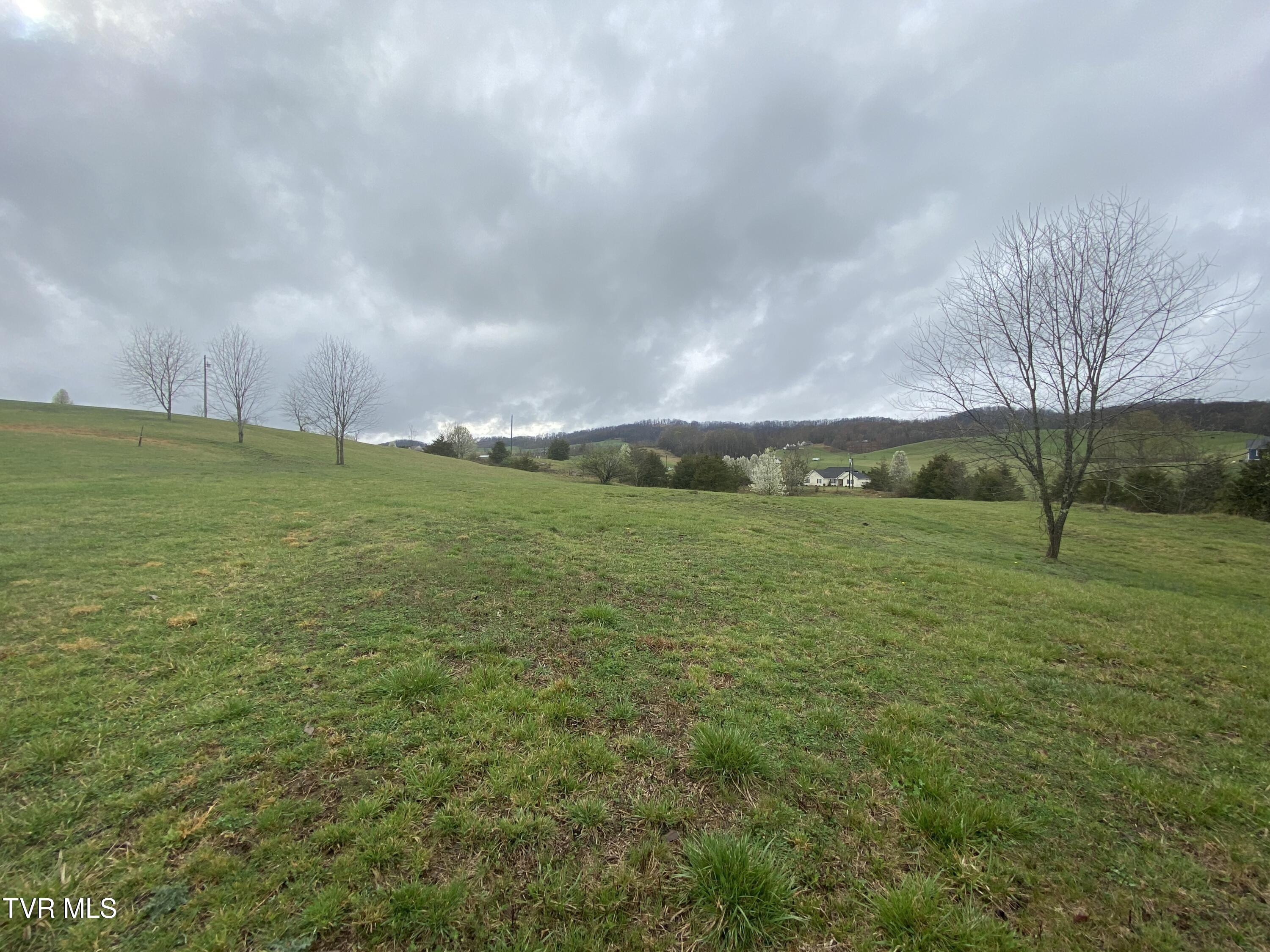 0 Reedy Creek Road Property Photo