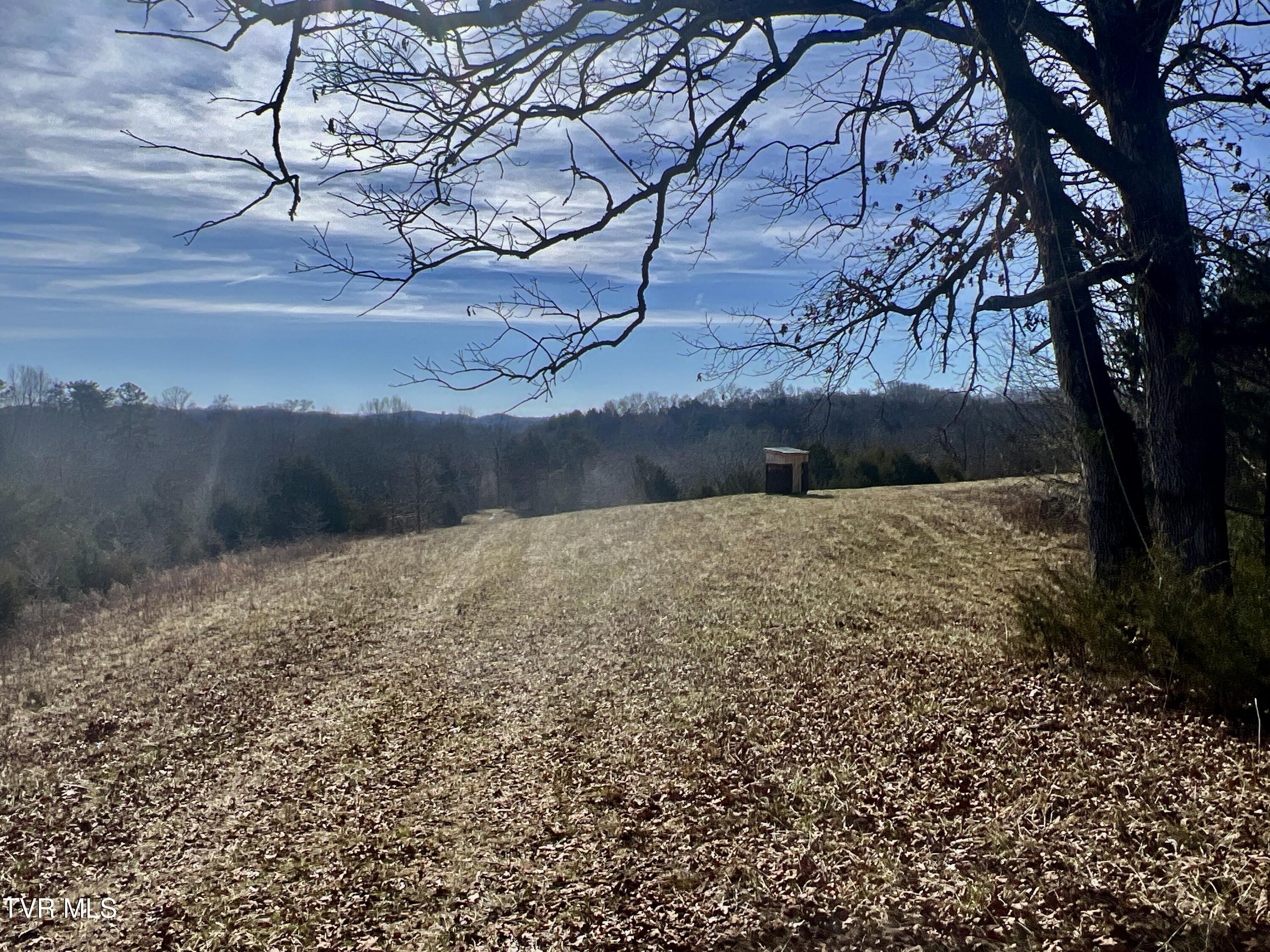 71/ac Tbd Smithtown Road Property Photo 20