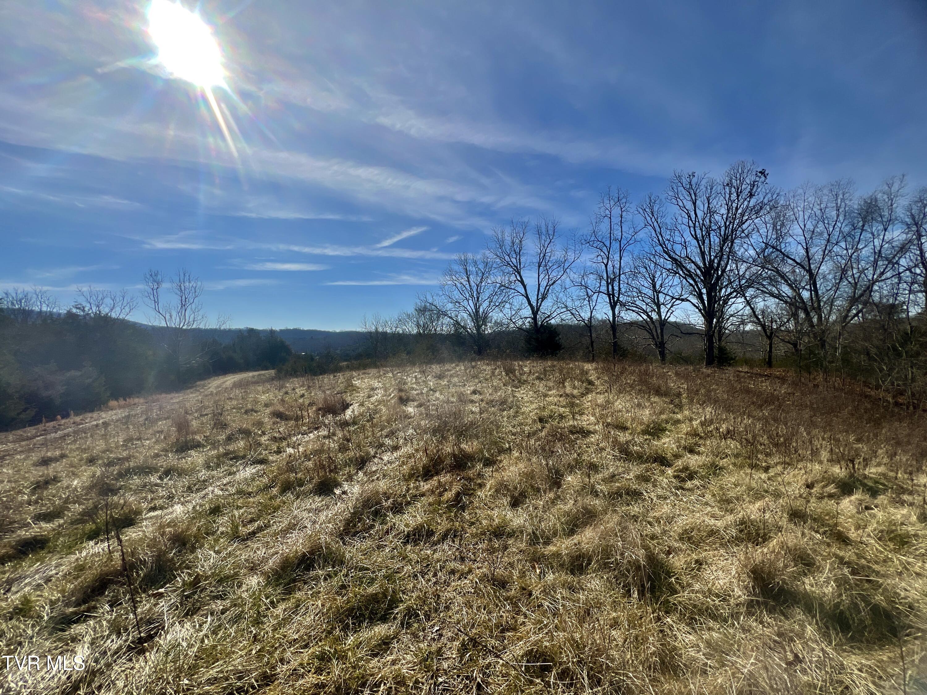 71/ac Tbd Smithtown Road Property Photo 24