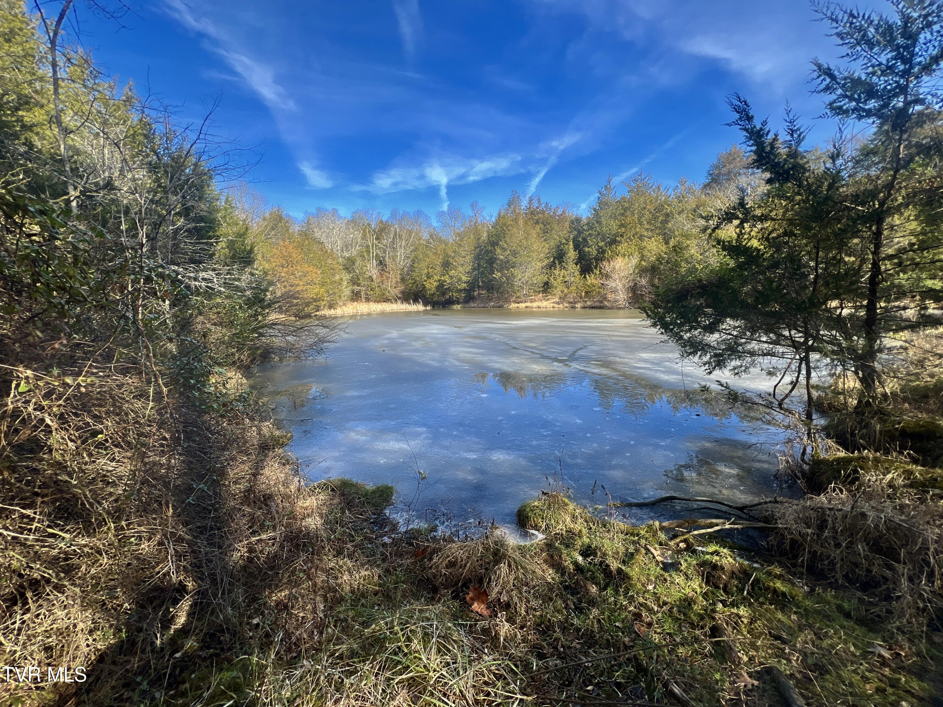 71/ac Tbd Smithtown Road Property Photo 29