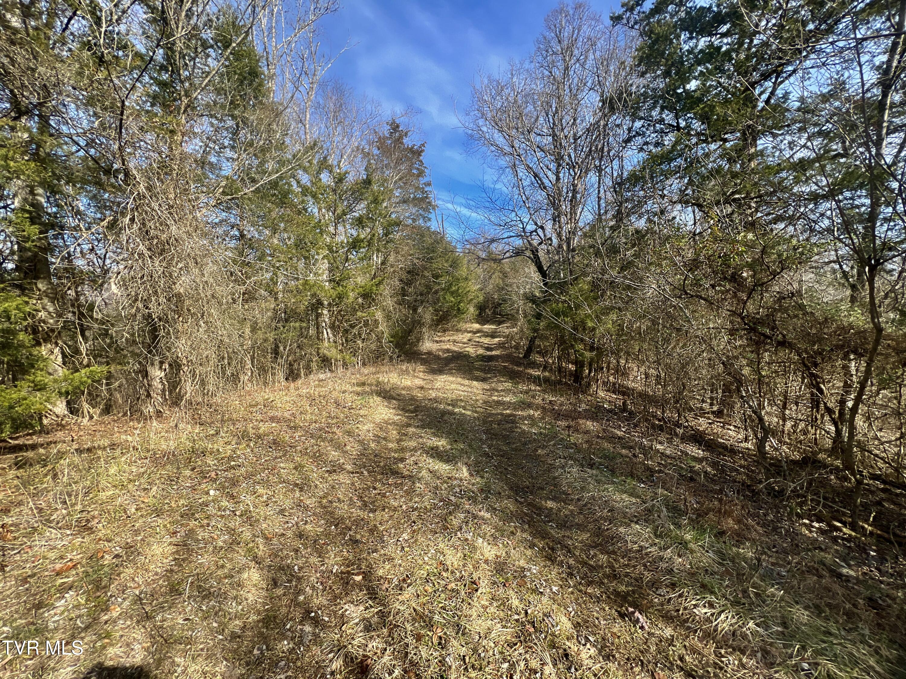 71/ac Tbd Smithtown Road Property Photo 32
