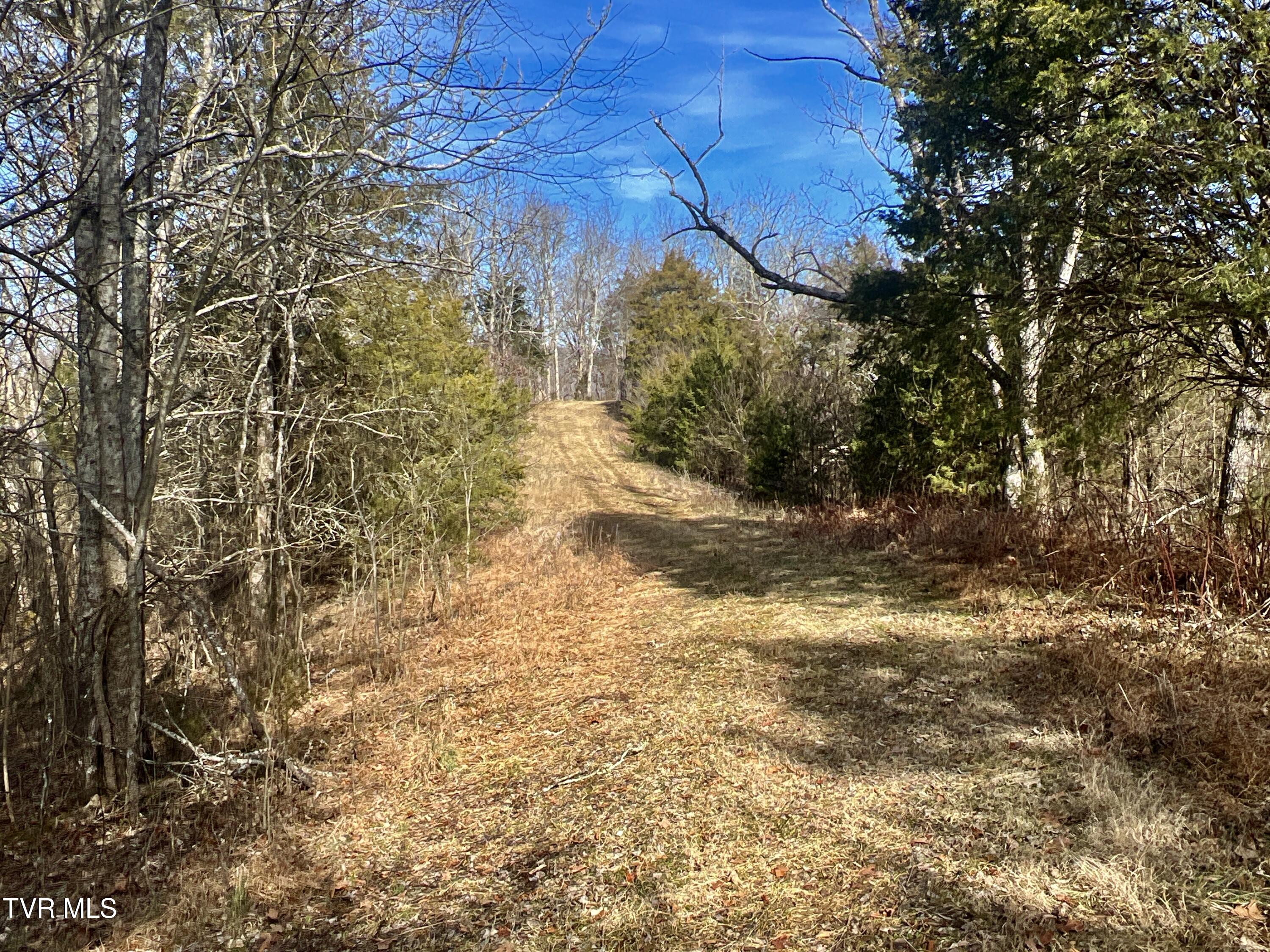 71/ac Tbd Smithtown Road Property Photo 33
