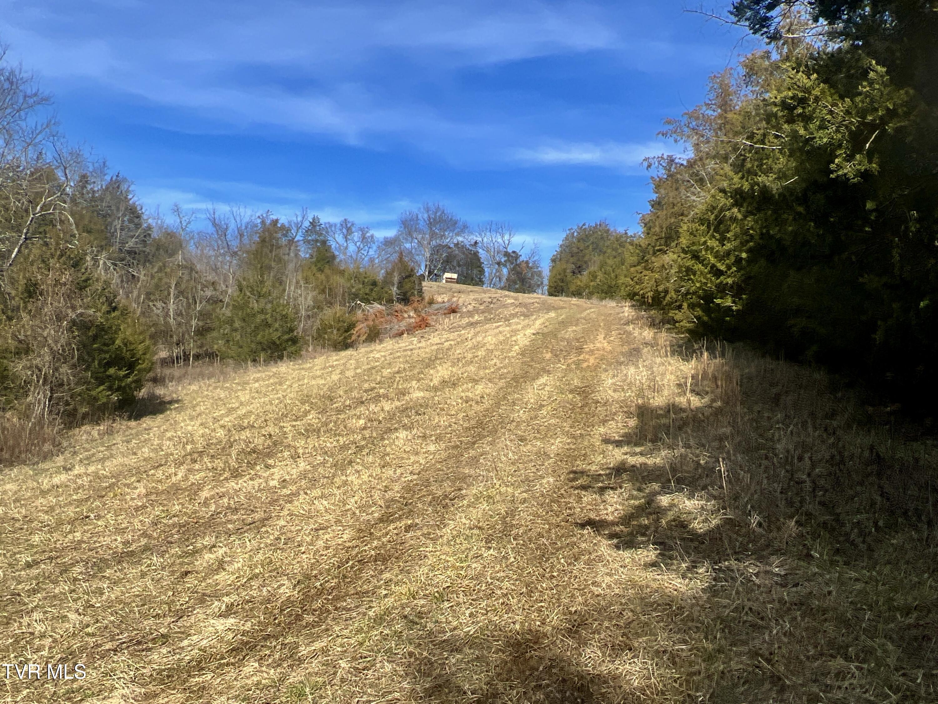 71/ac Tbd Smithtown Road Property Photo 34