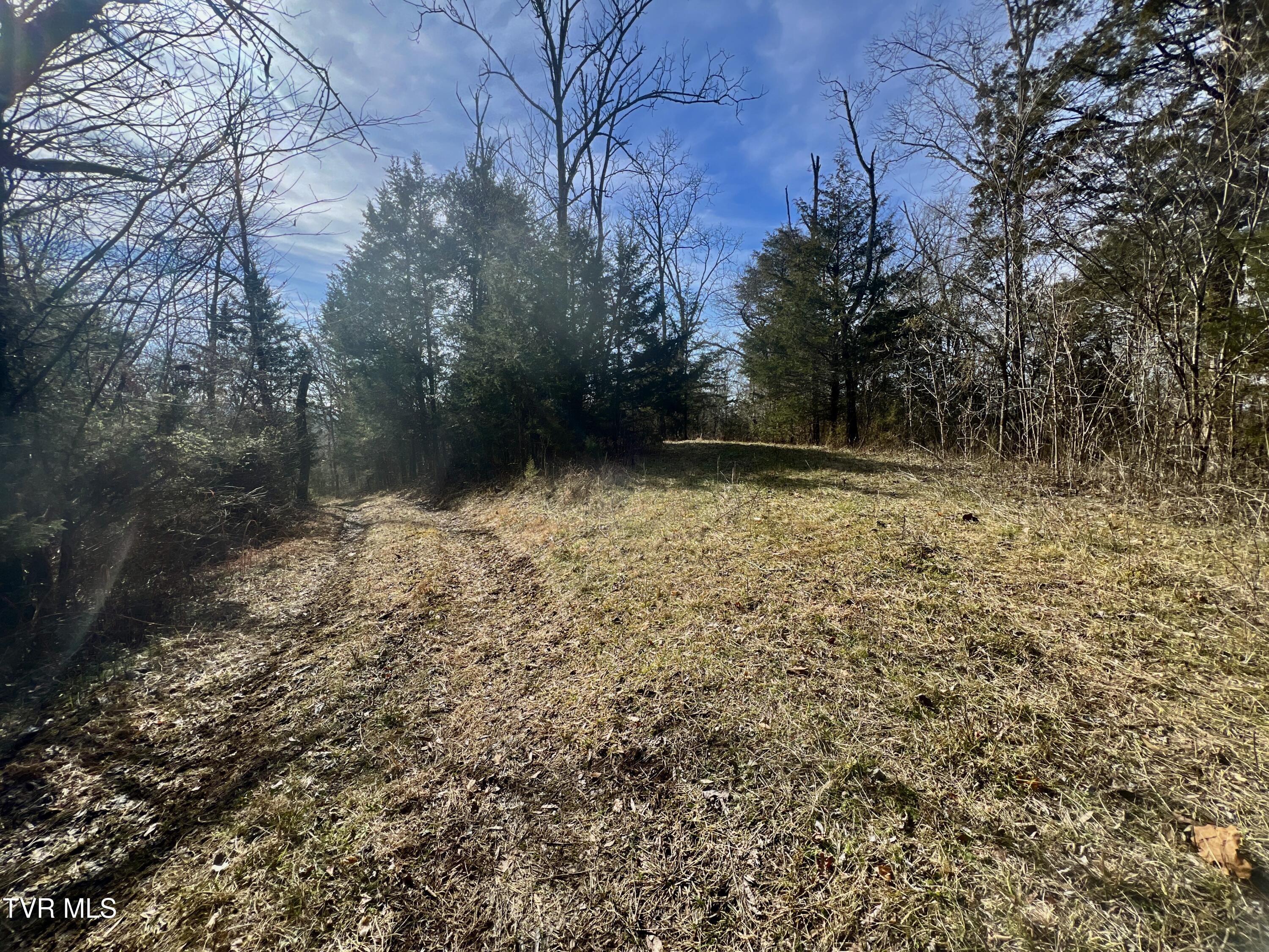 71/ac Tbd Smithtown Road Property Photo 35