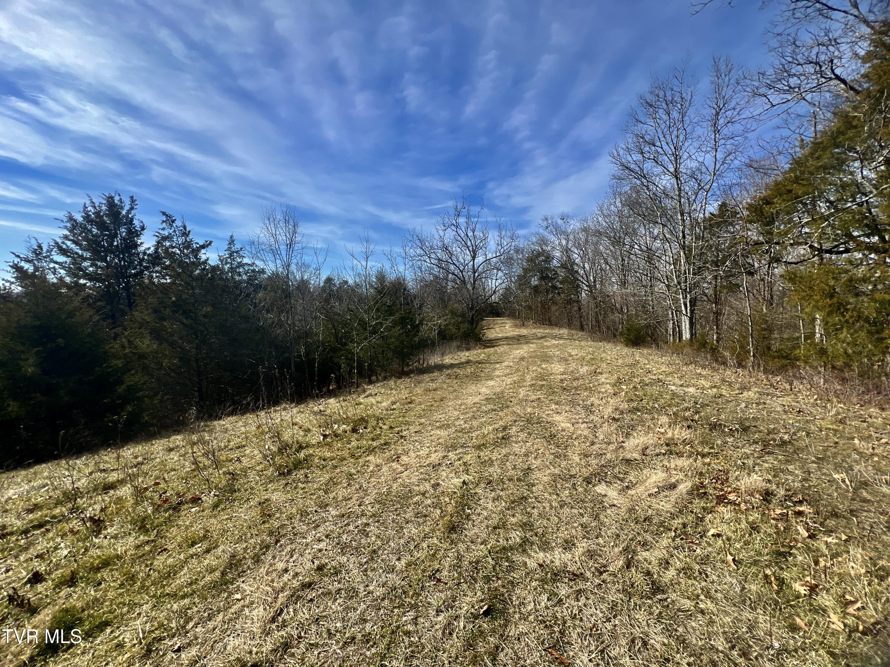 71/ac Tbd Smithtown Road Property Photo 36