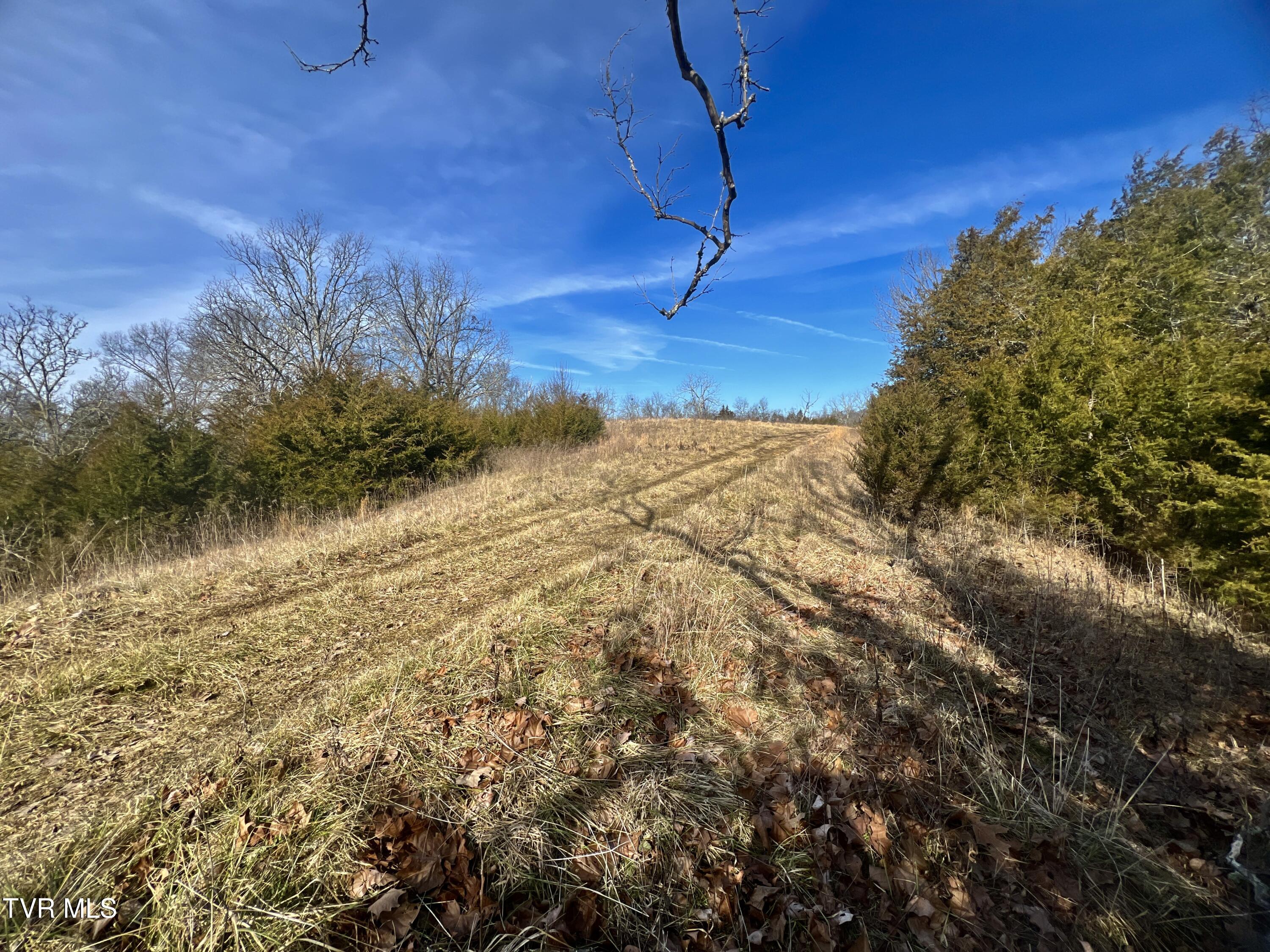 71/ac Tbd Smithtown Road Property Photo 37