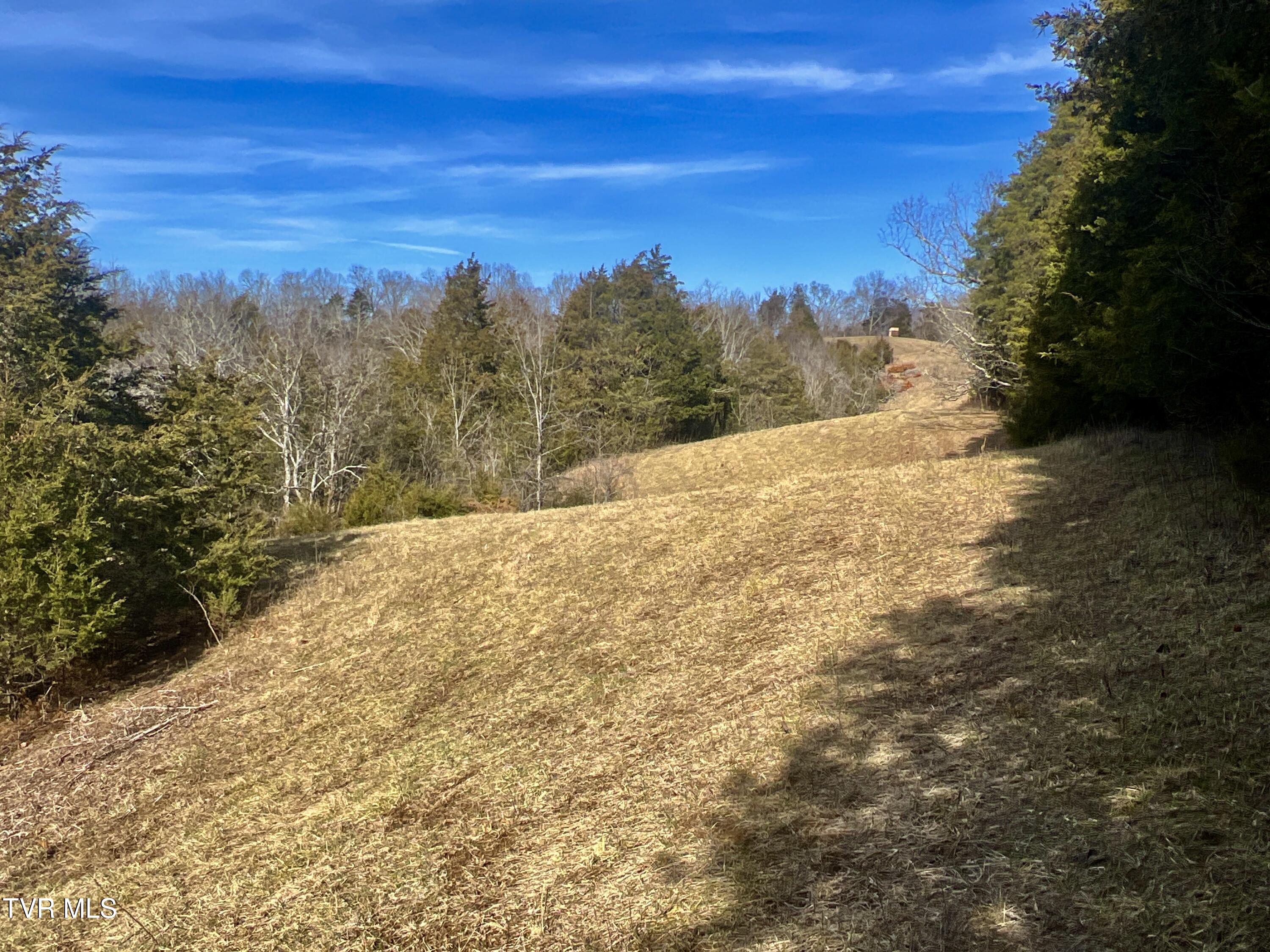 71/ac Tbd Smithtown Road Property Photo 39