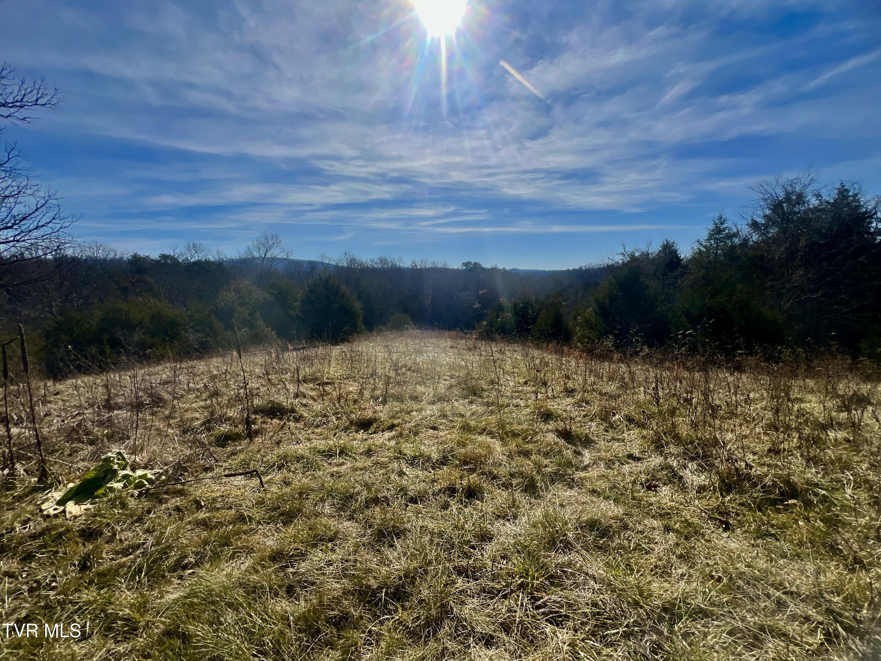 71/ac Tbd Smithtown Road Property Photo 42