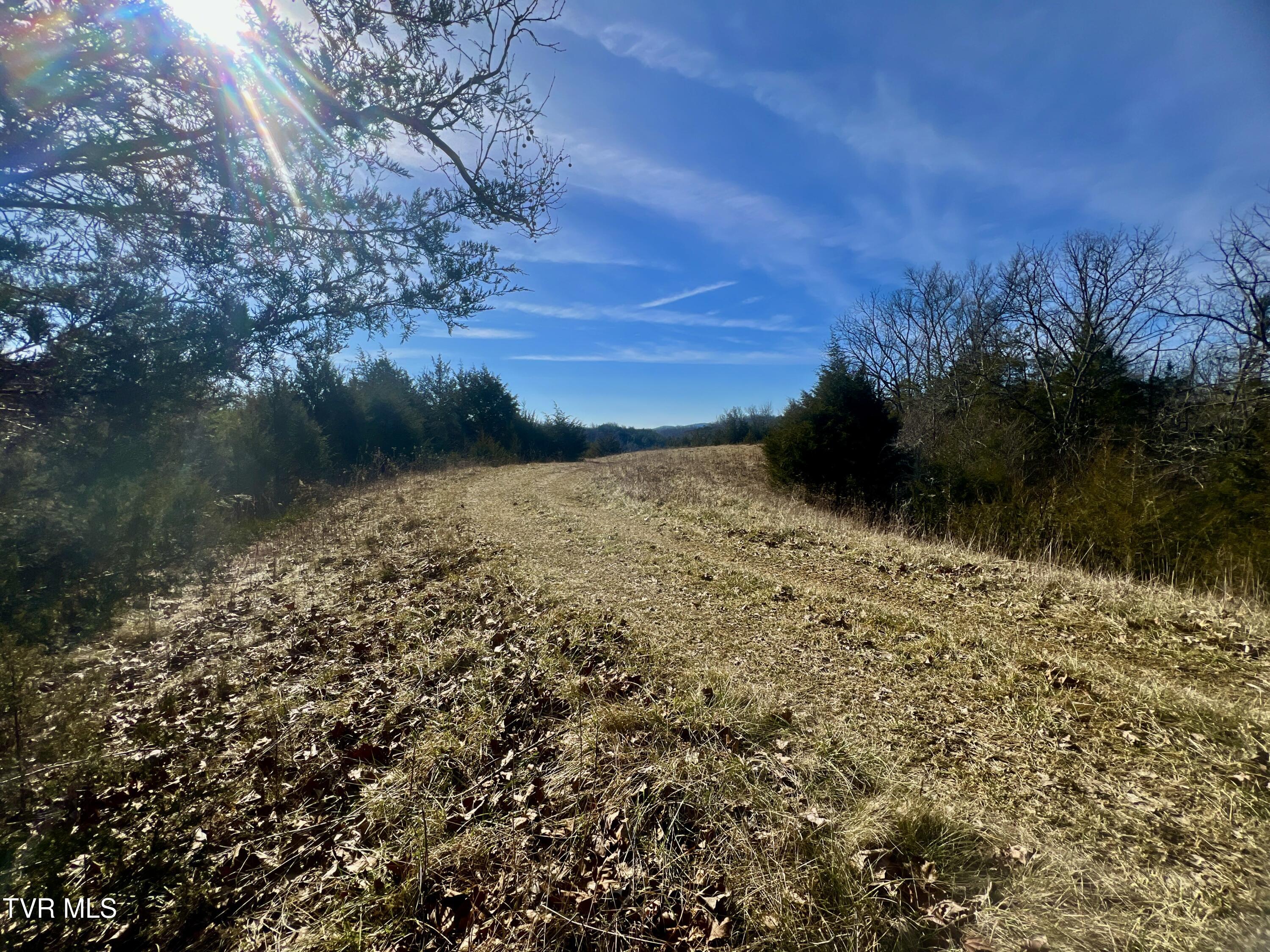 71/ac Tbd Smithtown Road Property Photo 43