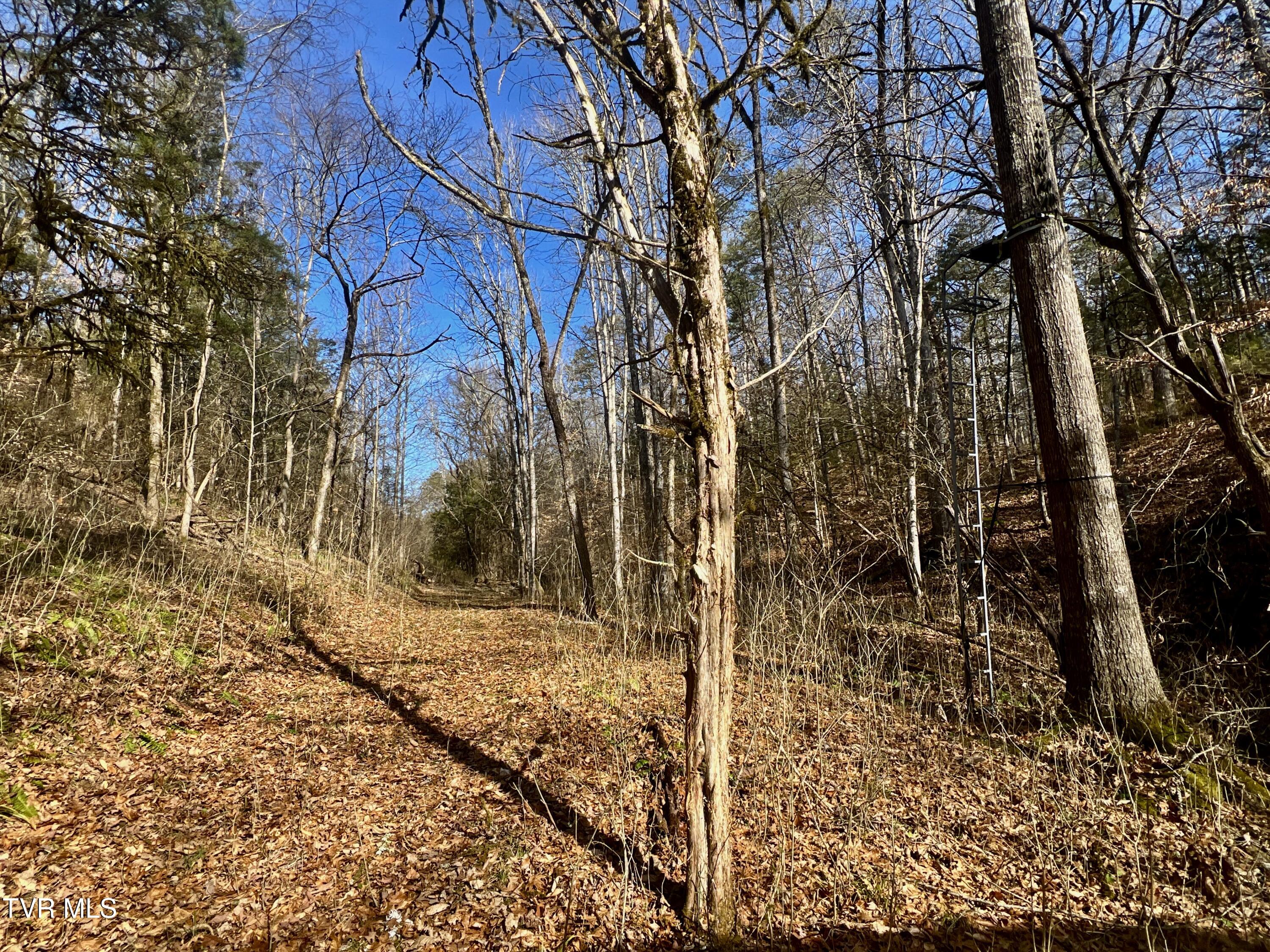 71/ac Tbd Smithtown Road Property Photo 44