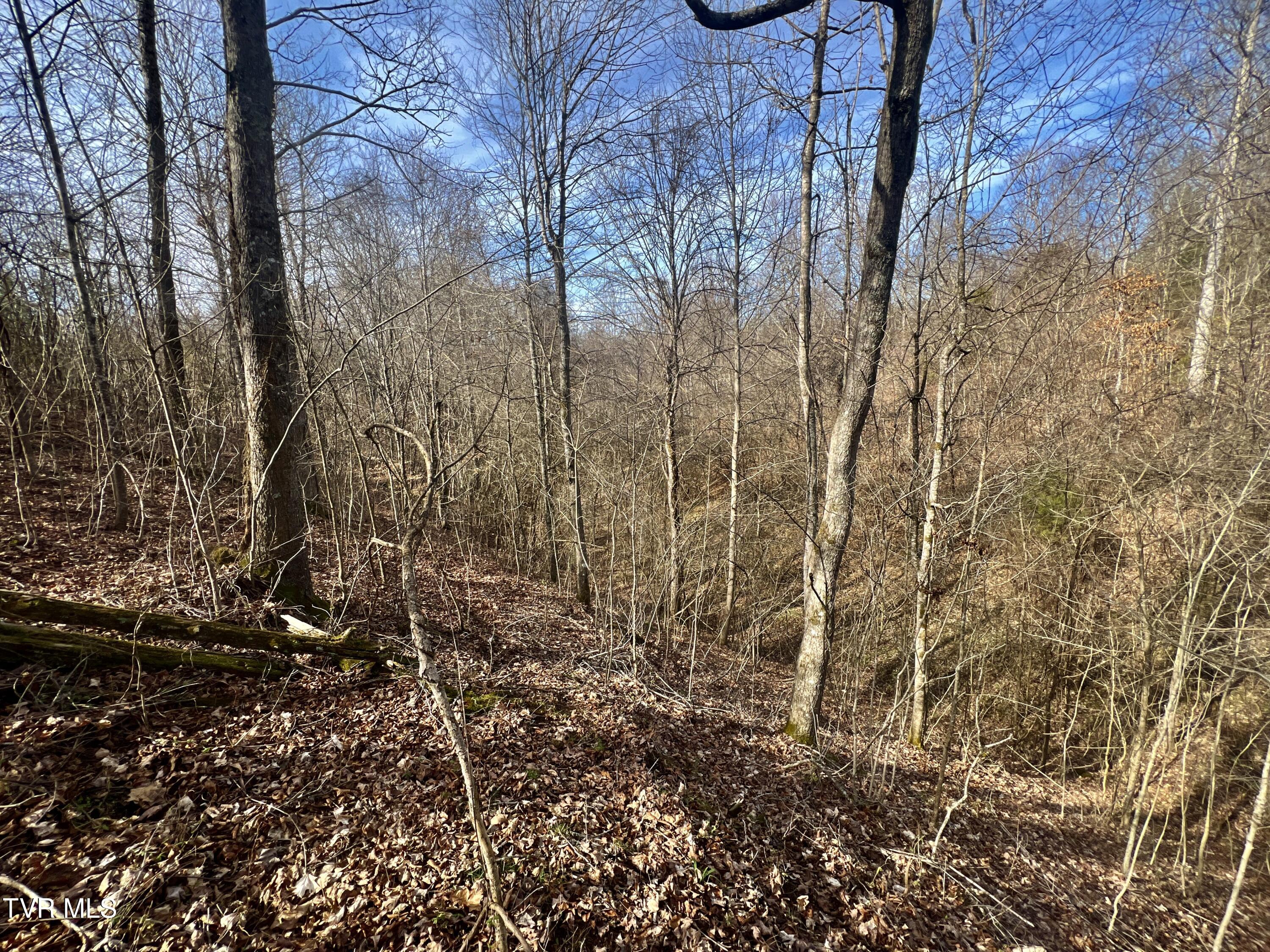 71/ac Tbd Smithtown Road Property Photo 54