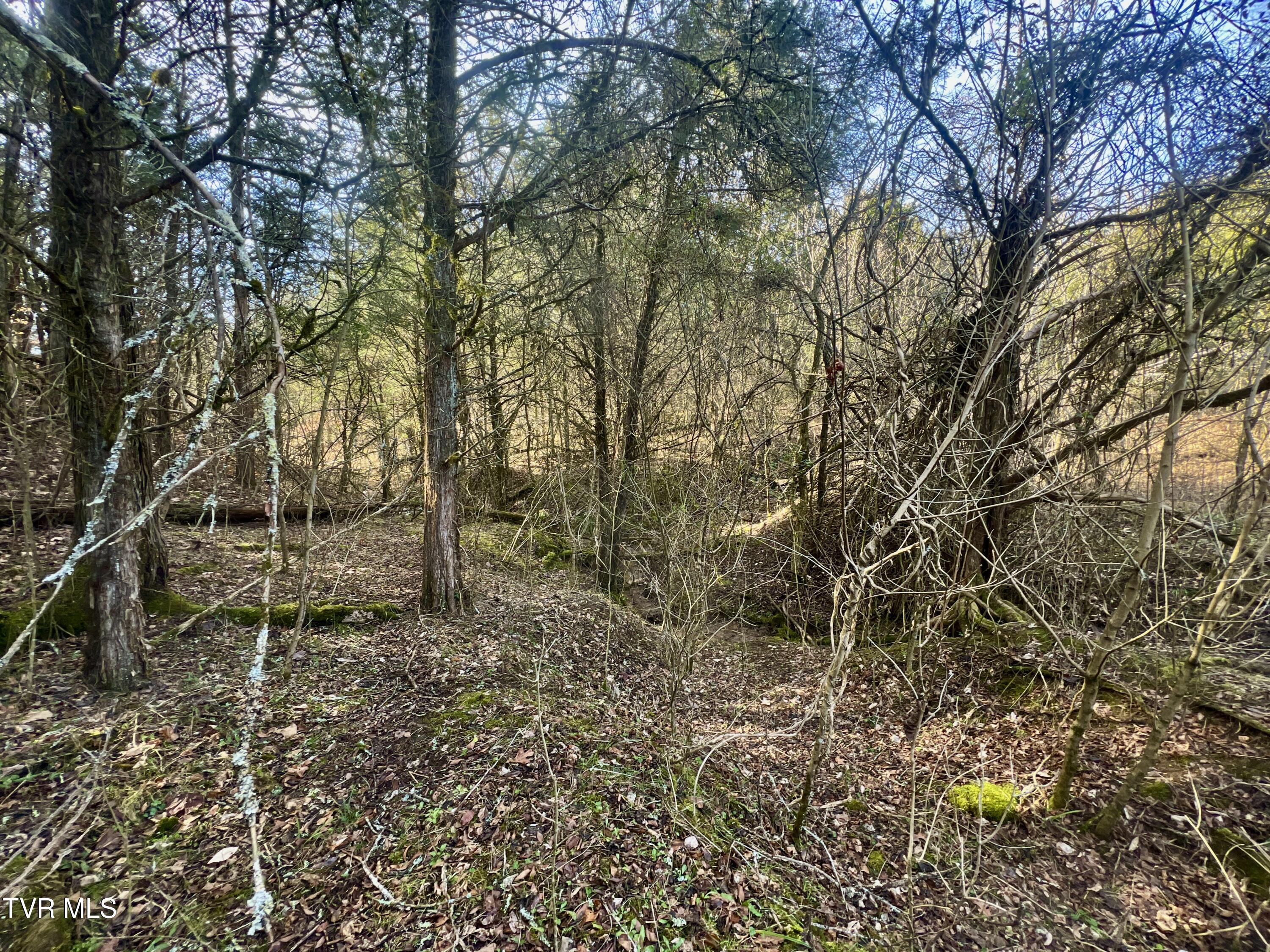 71/ac Tbd Smithtown Road Property Photo 55