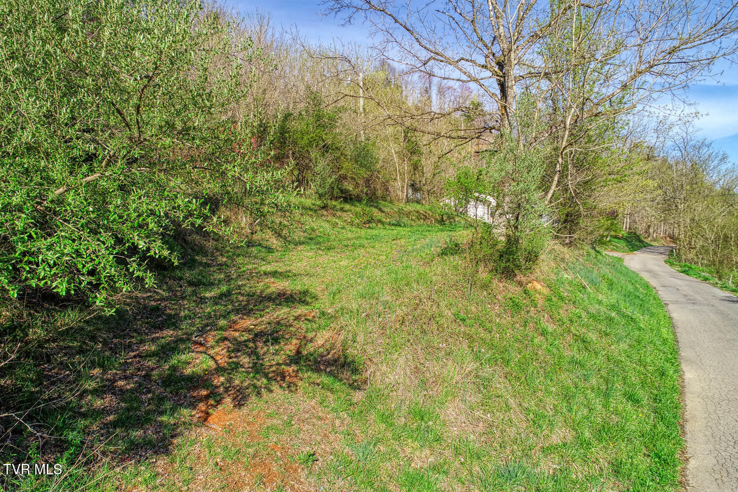 000 Sensabaugh Hollow Road Property Photo