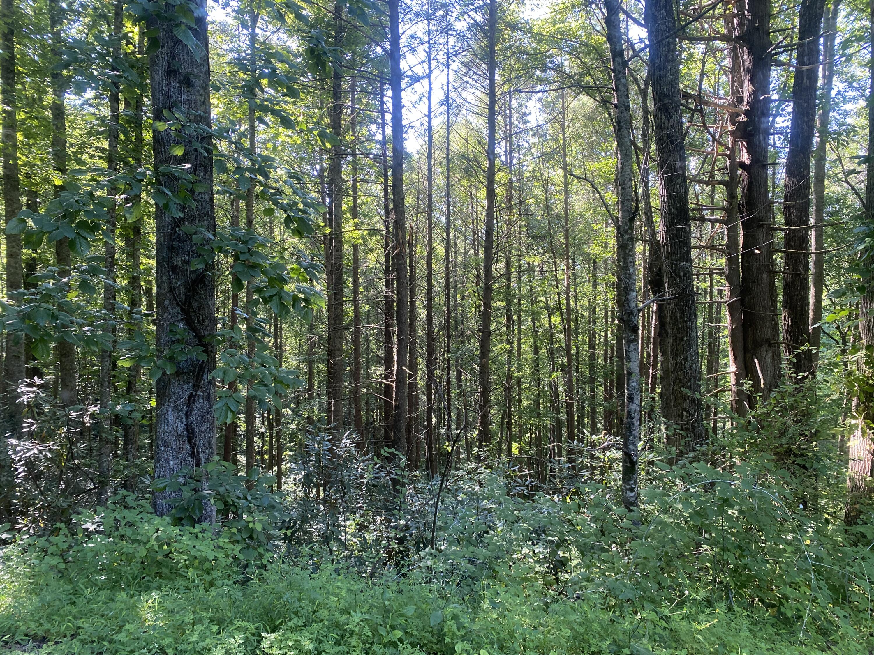 Tbd Cherokee Circle Property Photo