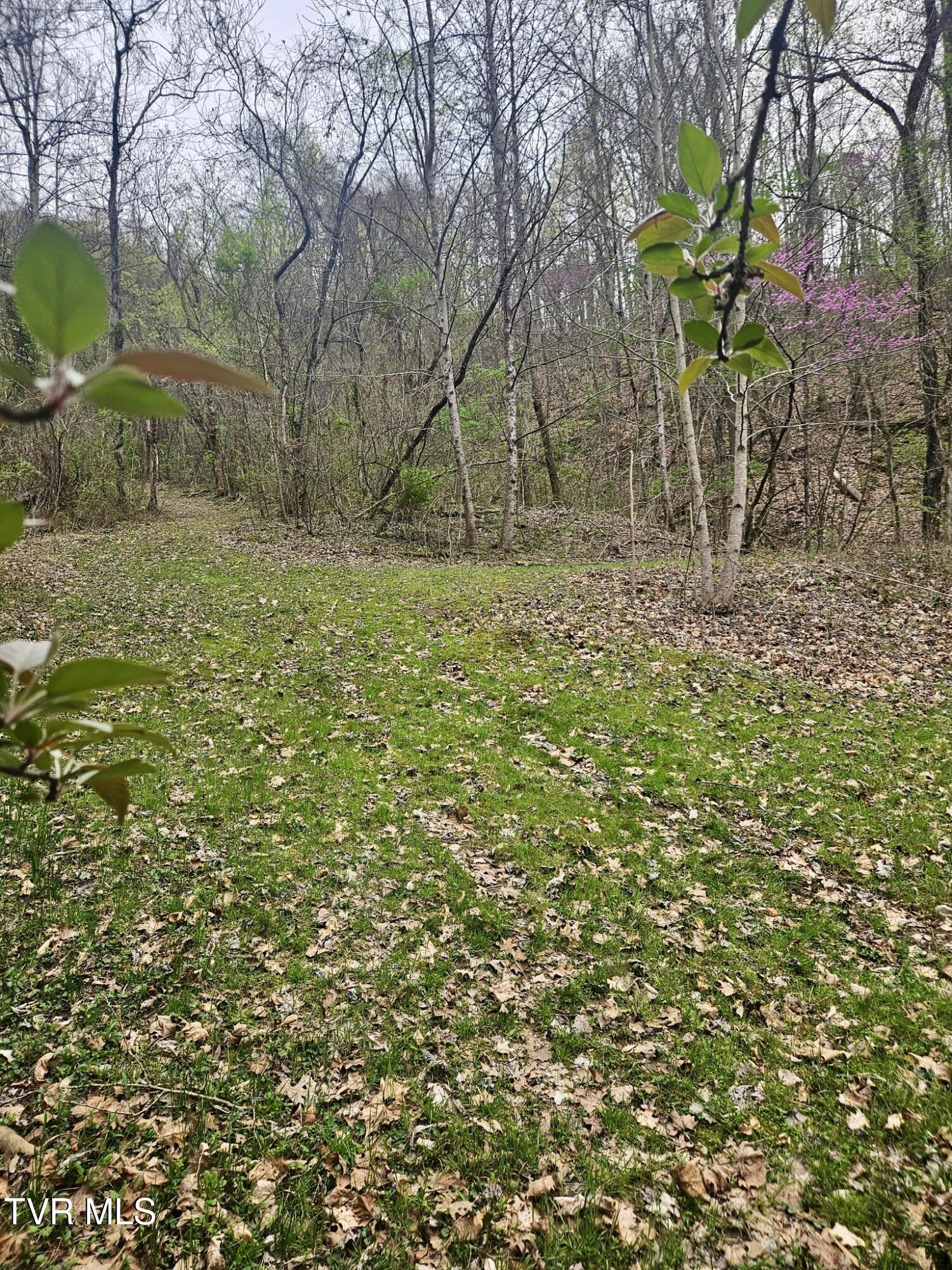 0 Christians Bend Road Property Photo