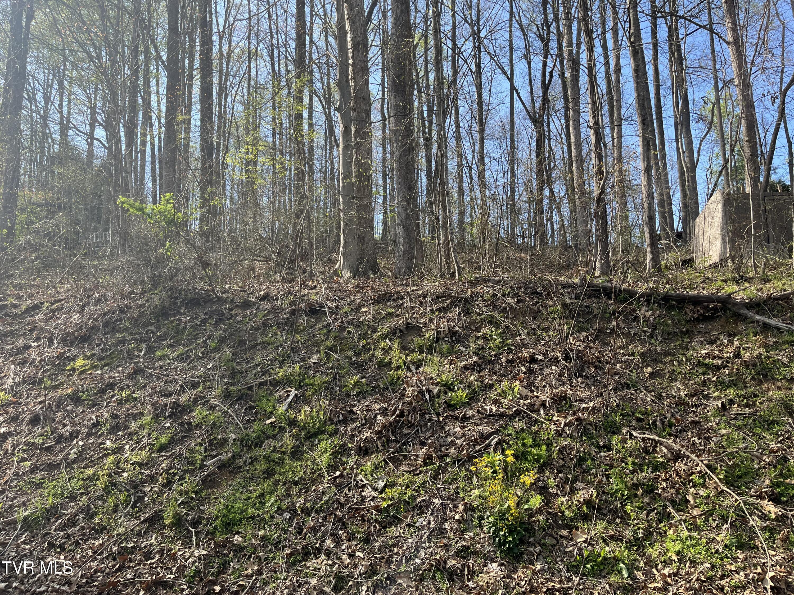 Tbd Wedgewood Road Property Photo