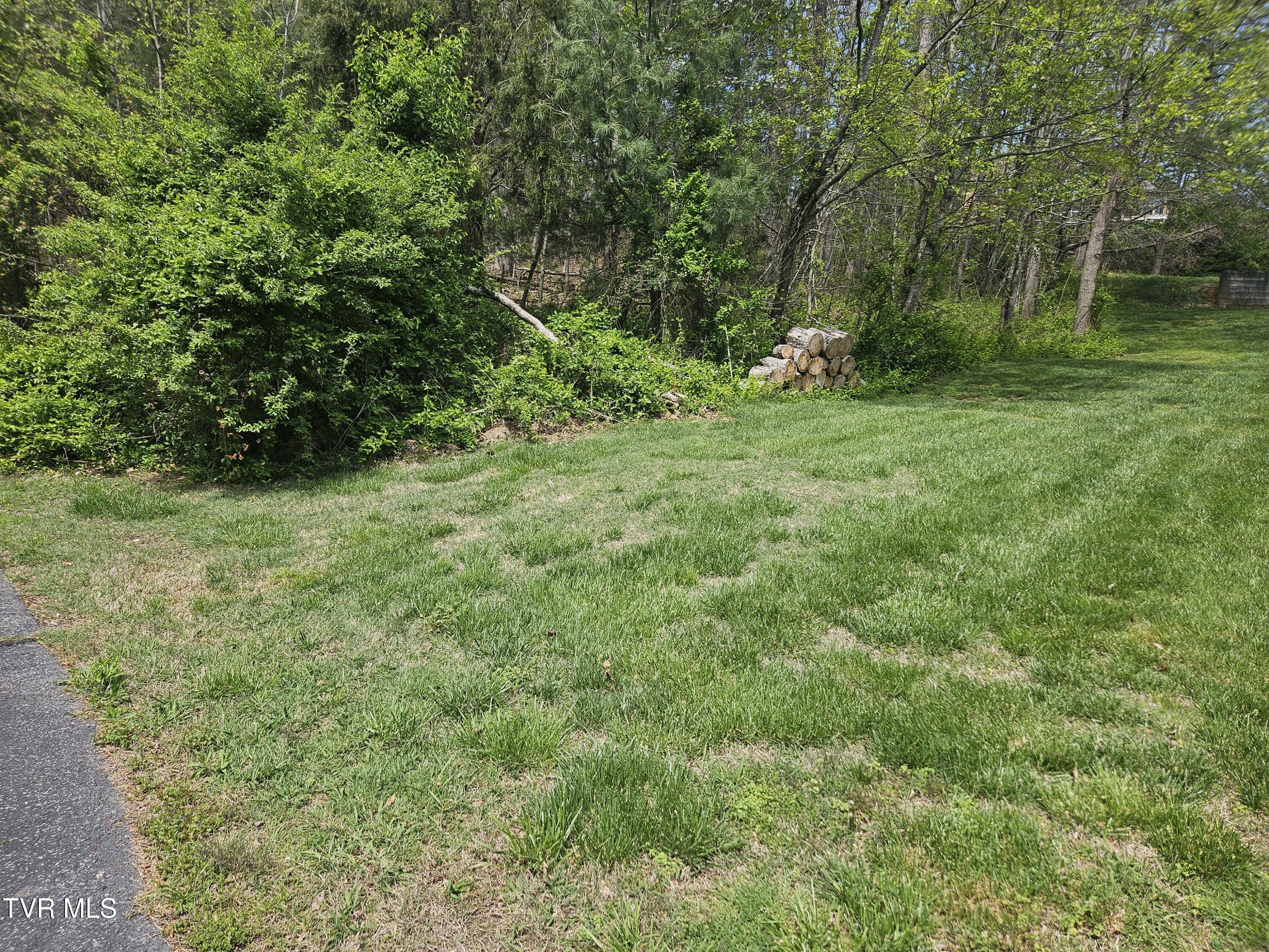 0 Arnold Palmer Dr Property Photo
