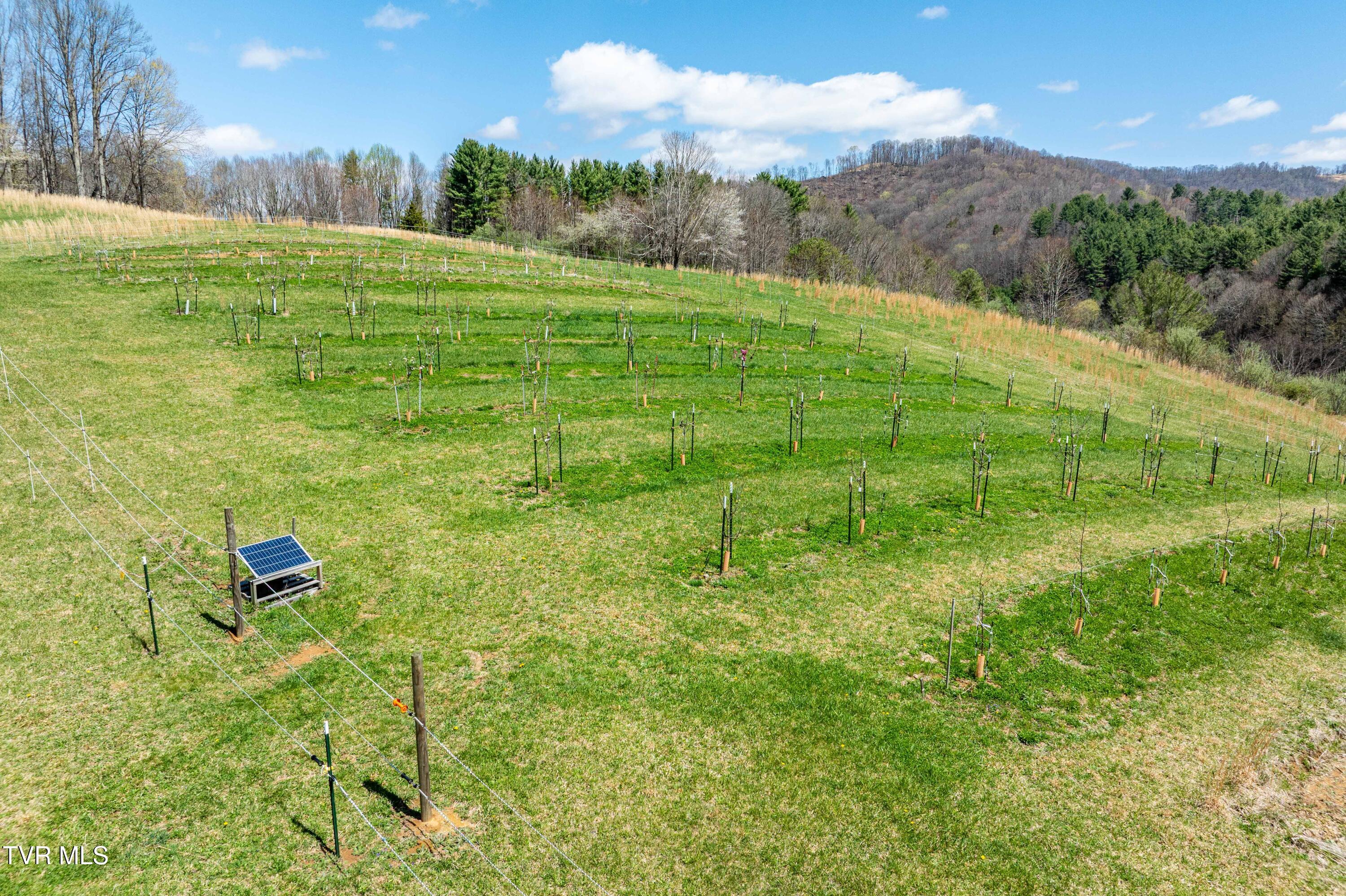 9676 South Hwy 421 South Property Photo