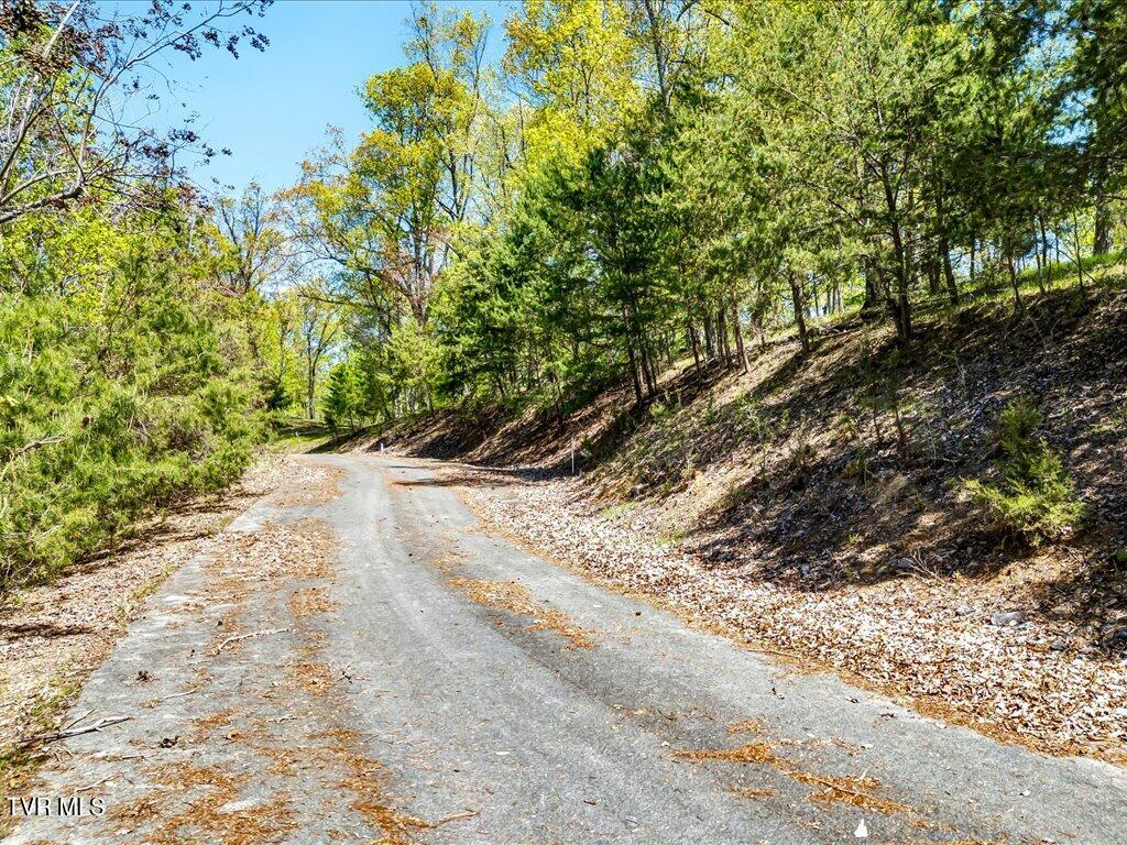 Lot 49 Hickory Knoll Circle Property Photo 1