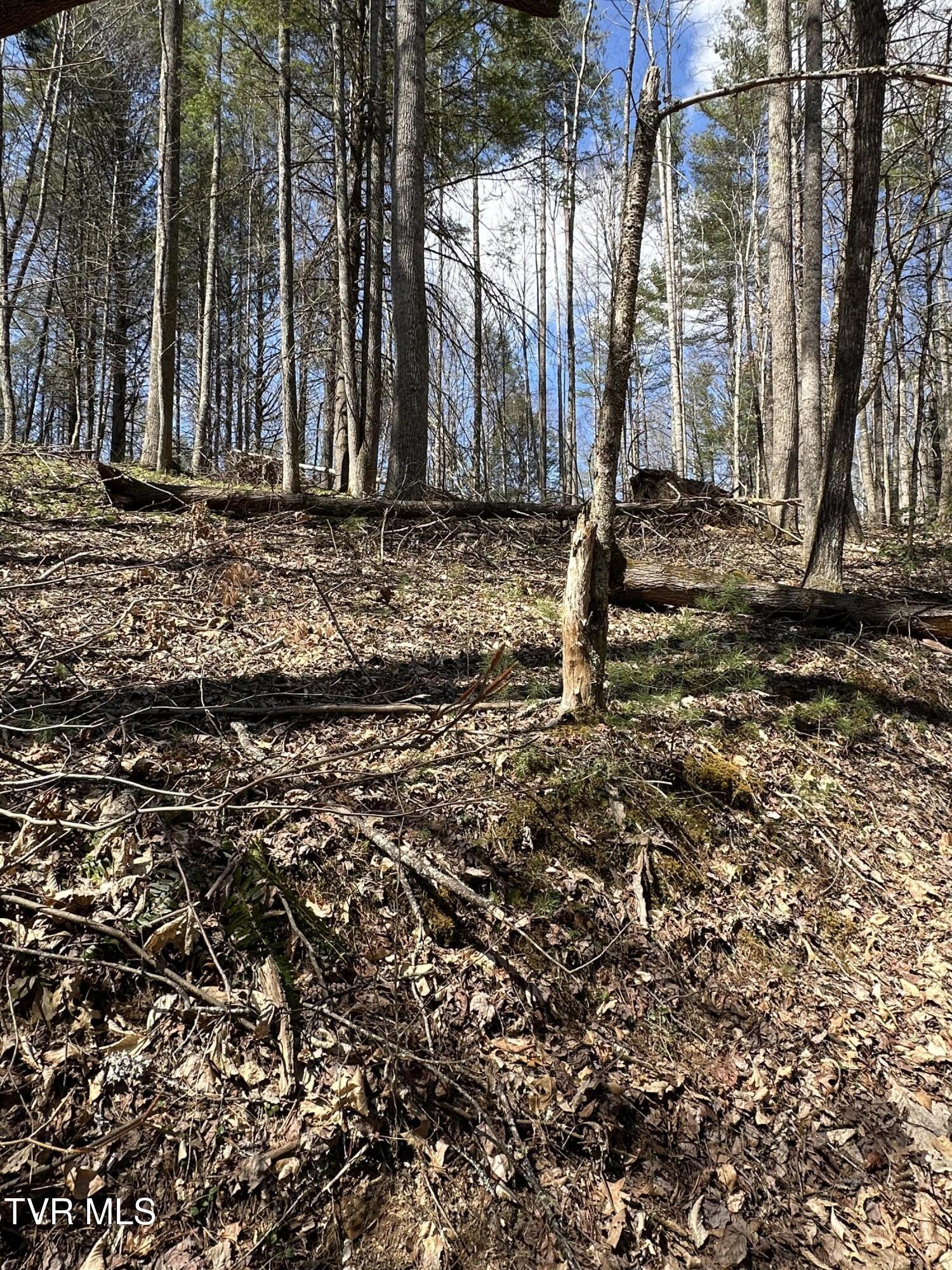 400 Woodchuck Way Property Photo