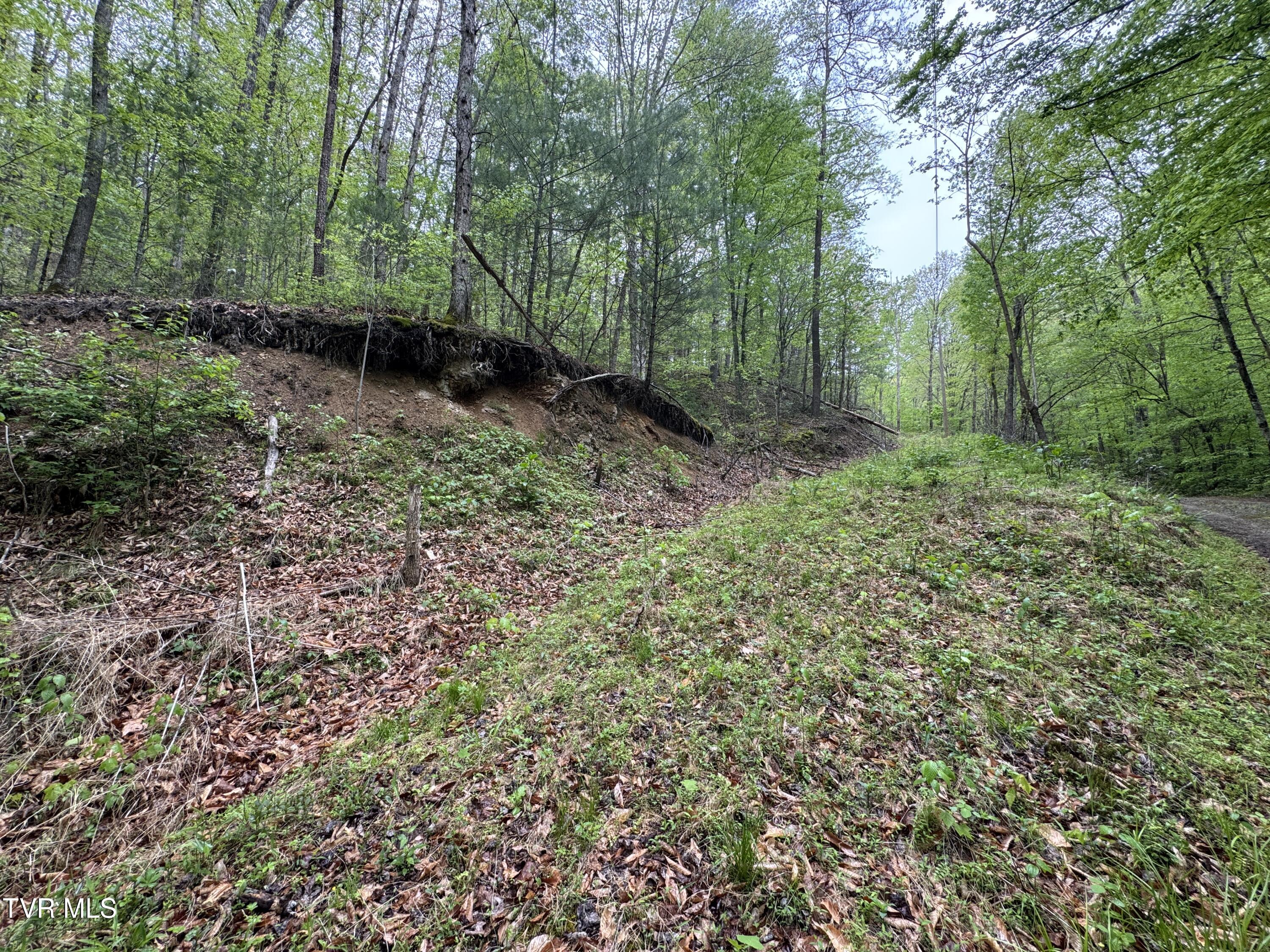 376 Summer House Hollow Road Property Photo 1
