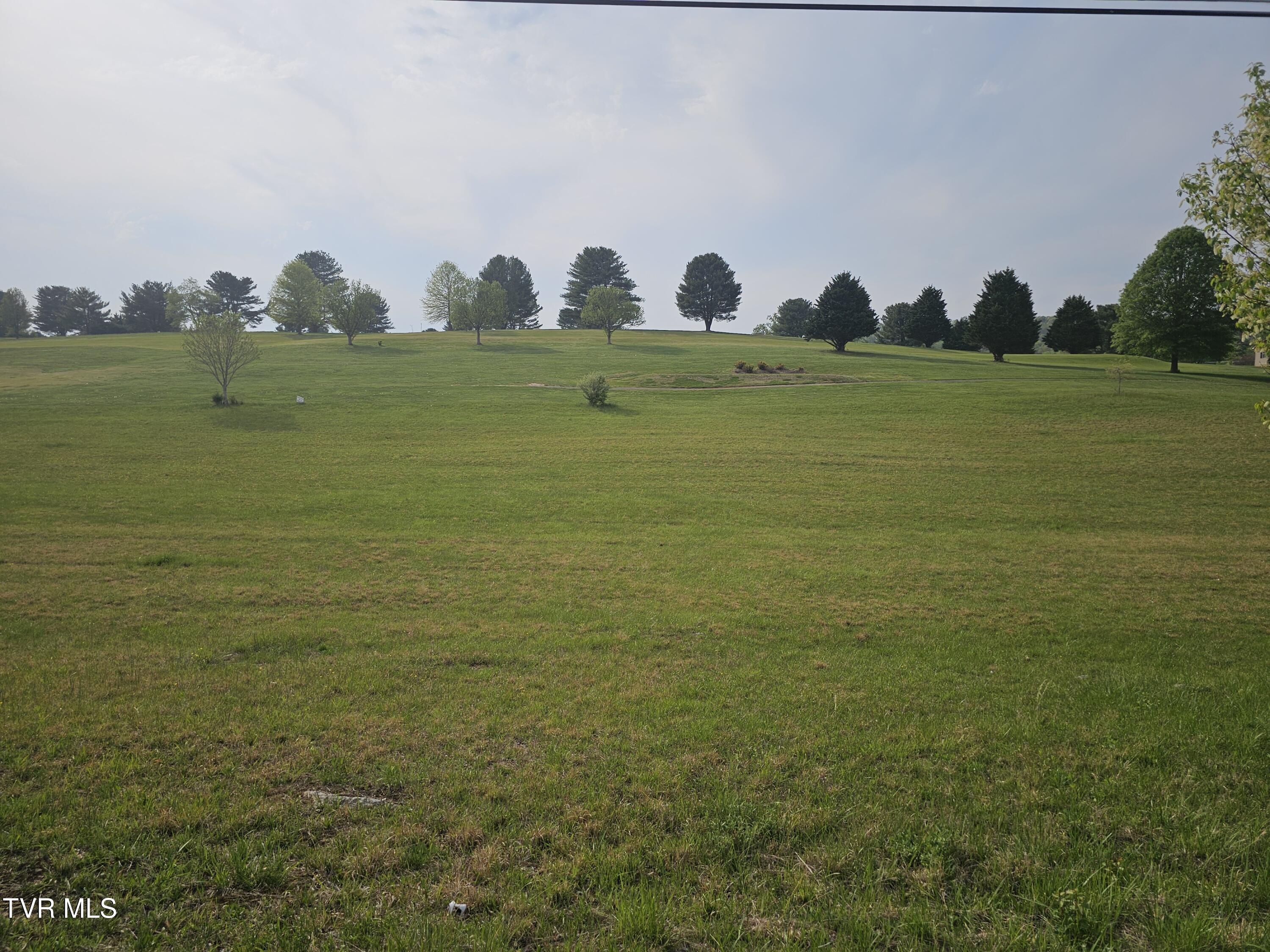Tbd Mckinney Chapel Road Property Photo 1