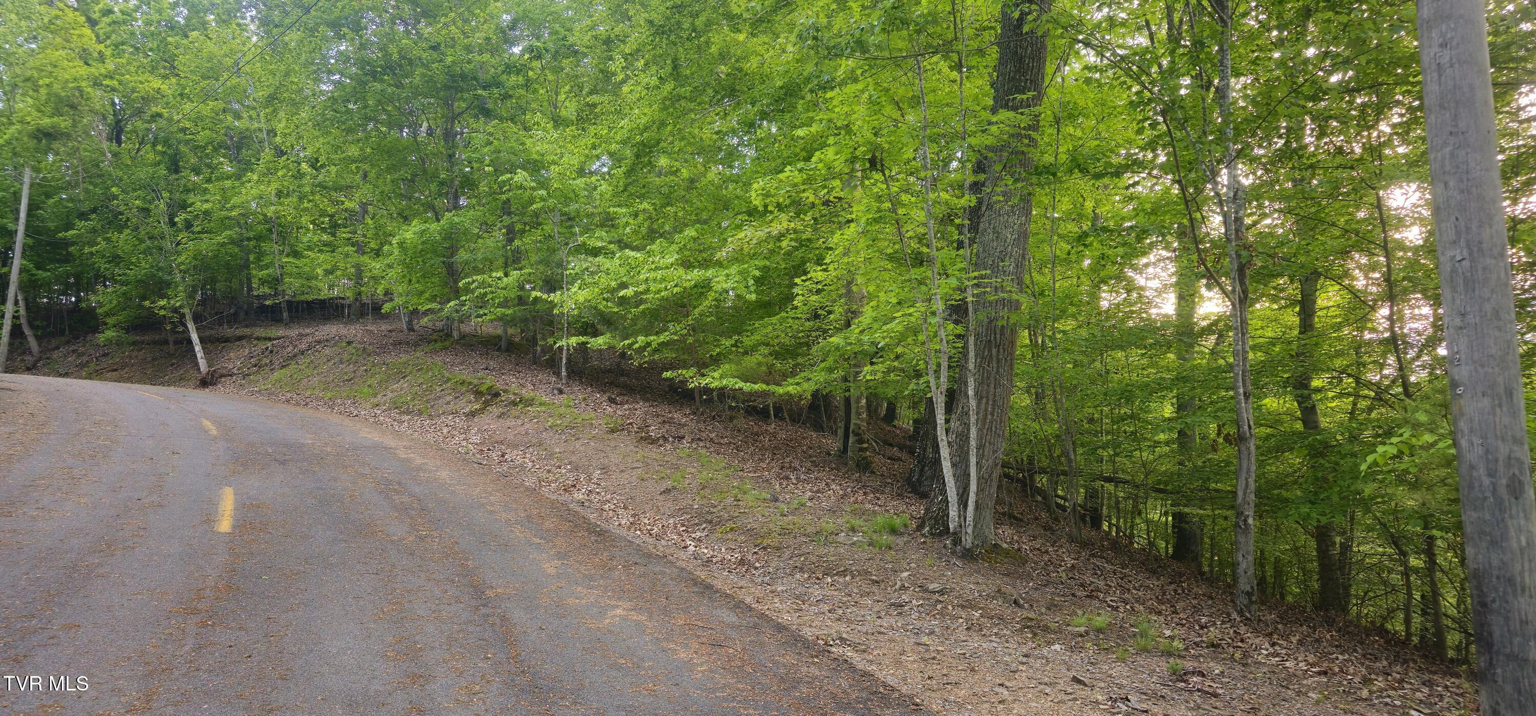 1445 Echota Lane Property Photo