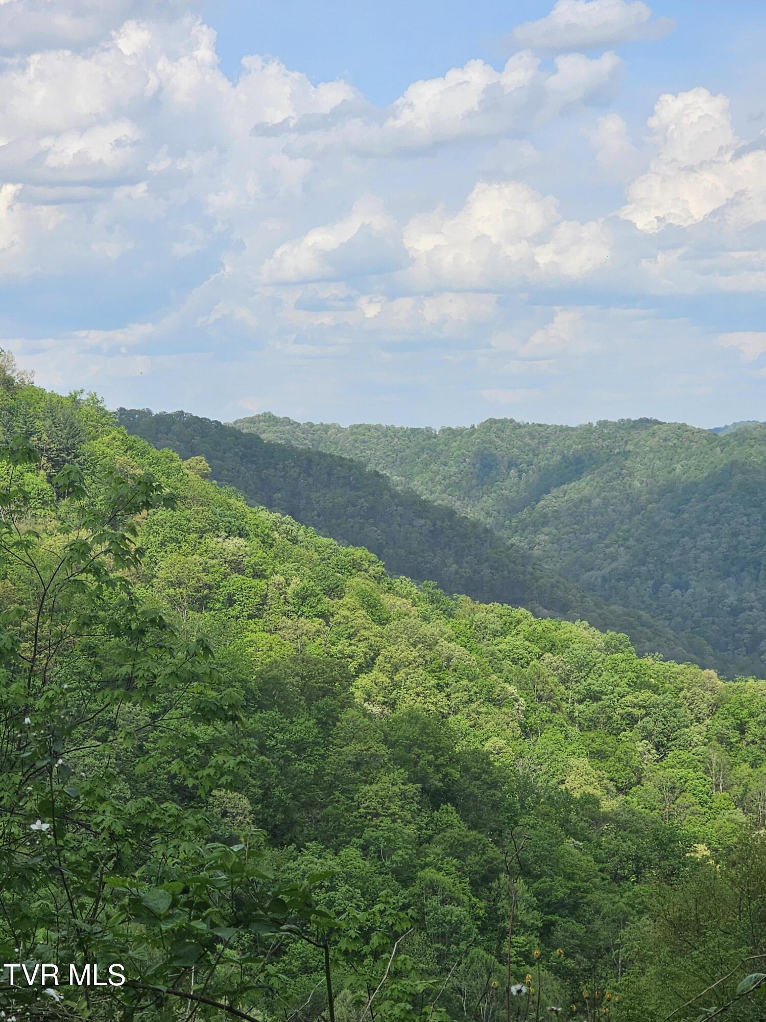 1097 Peter Pan Road Property Photo