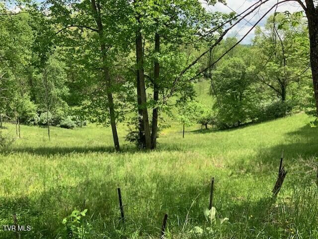 1478 Bellamy Tipton Road Property Photo