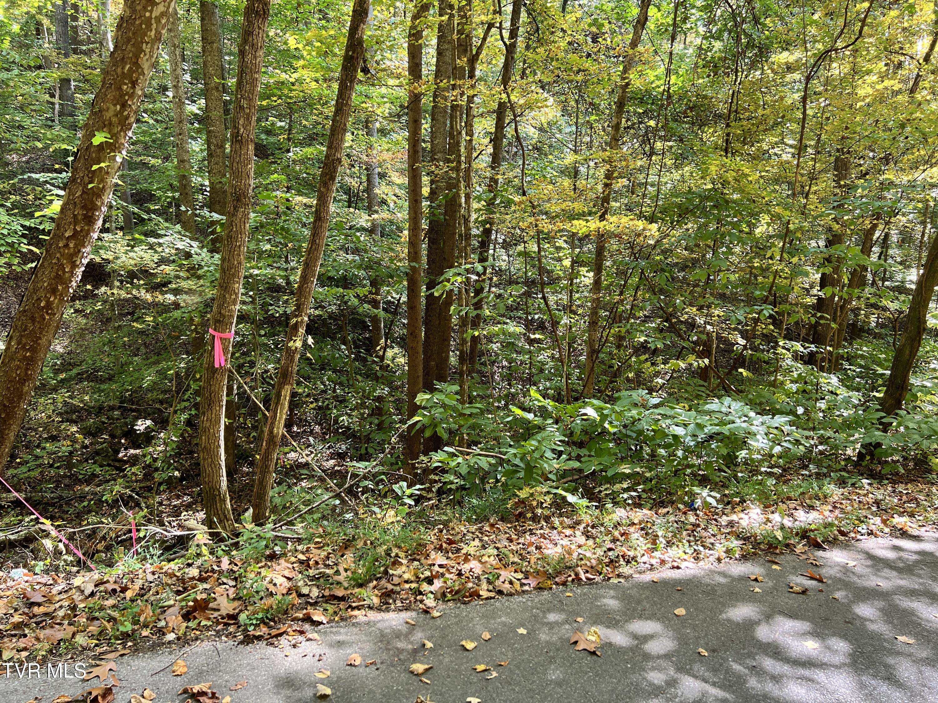 1875 Dyer Hollow Road Property Photo 1