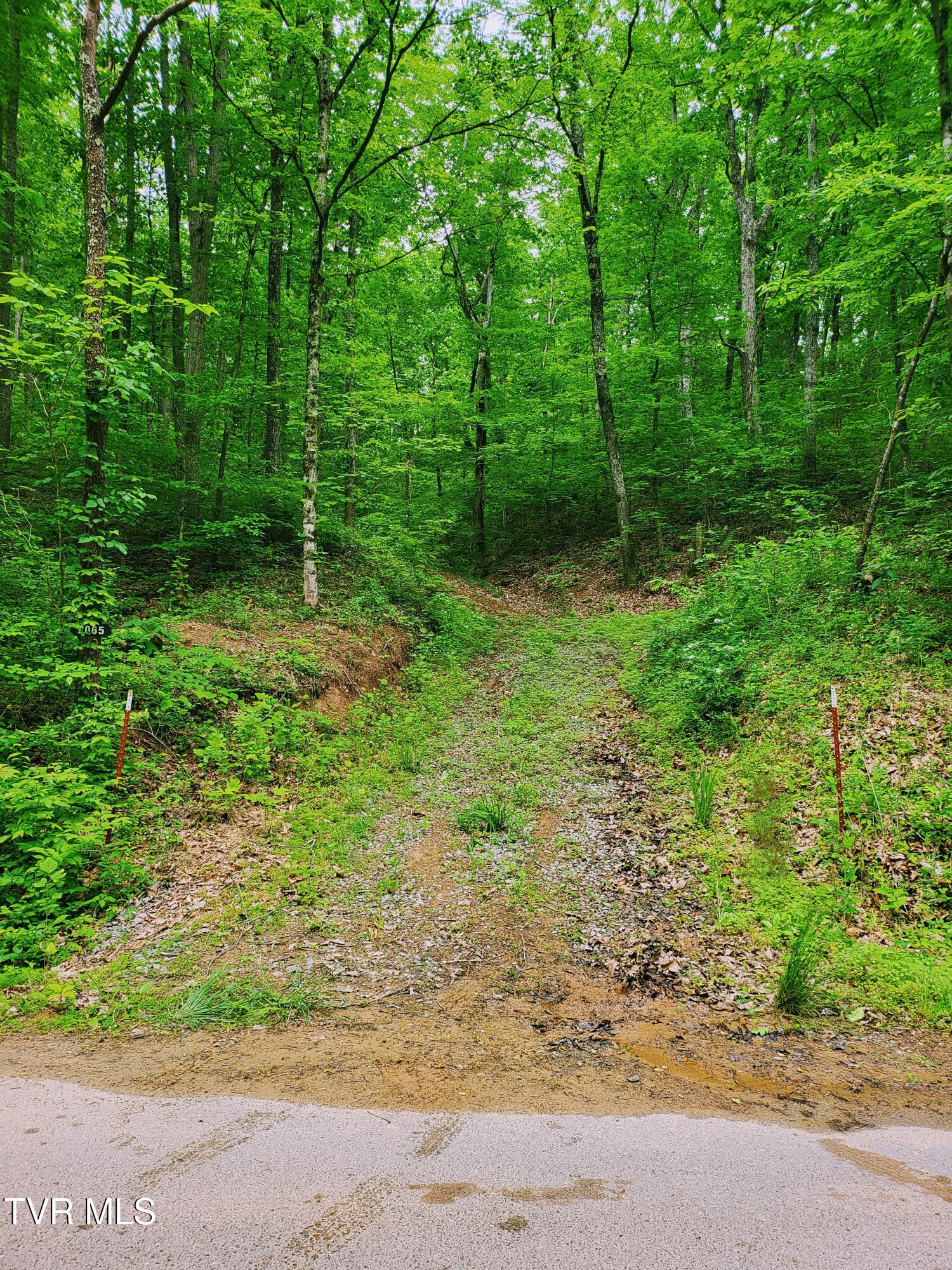 2065 Dyer Hollow Road Property Photo 1