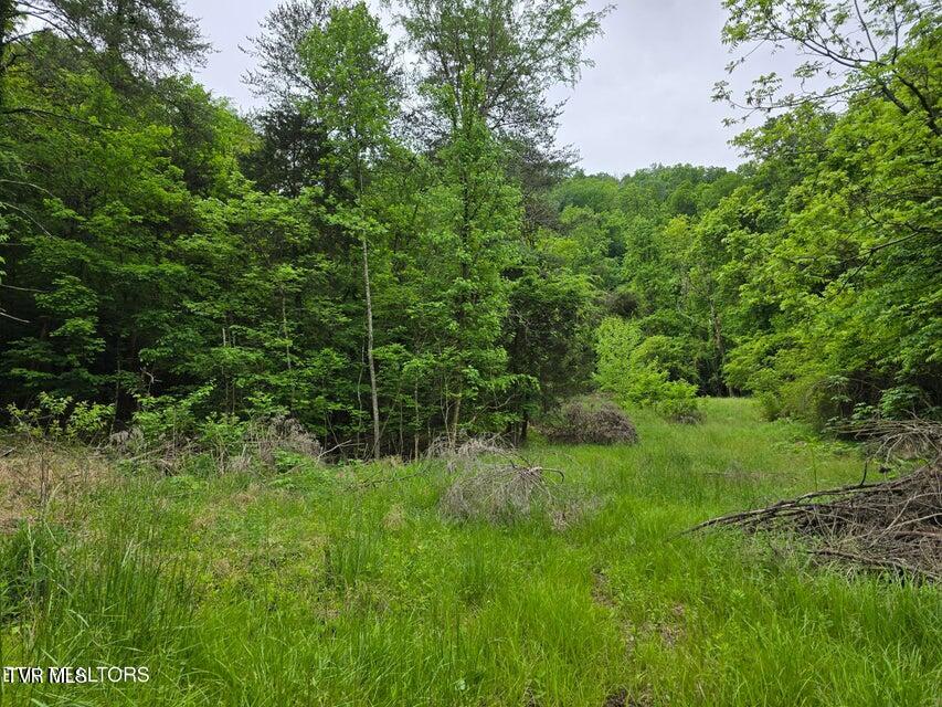 Tbd Boatmans Mountain Lot 3 Road Property Photo 1