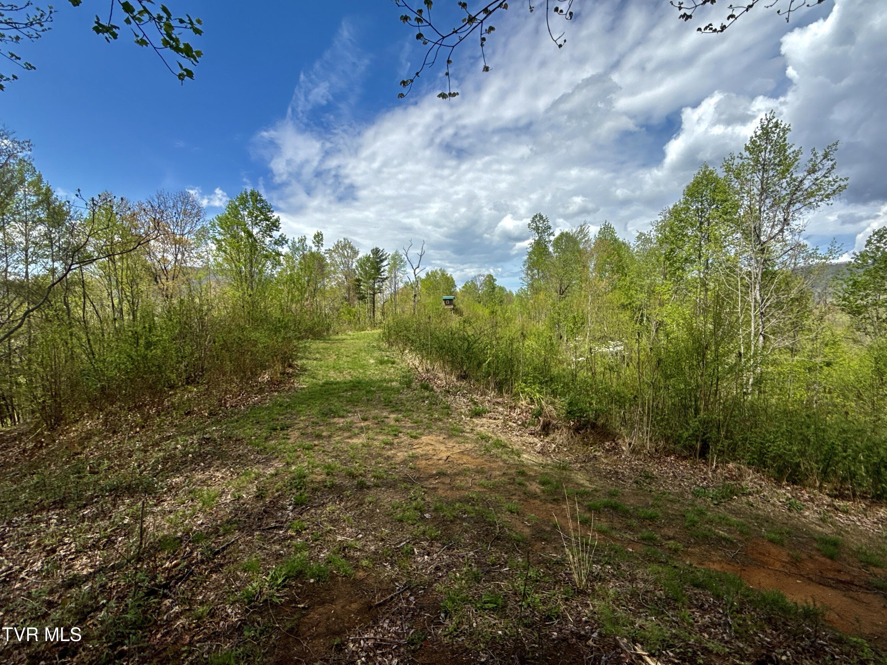 19/ac Tbd Edith Gouge Rd Property Photo 1