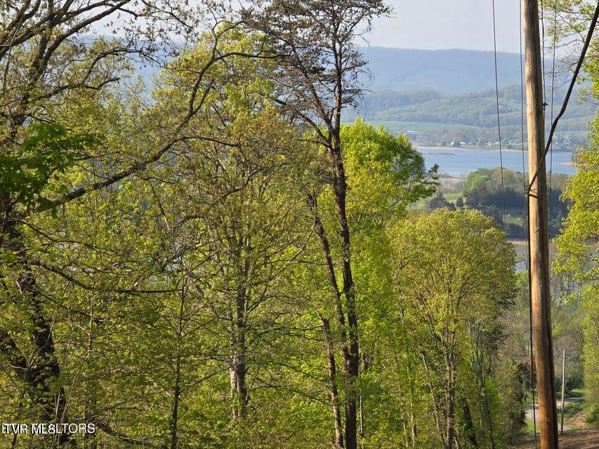 Tbd Boatmans Mountain Lot 4 Road Property Photo