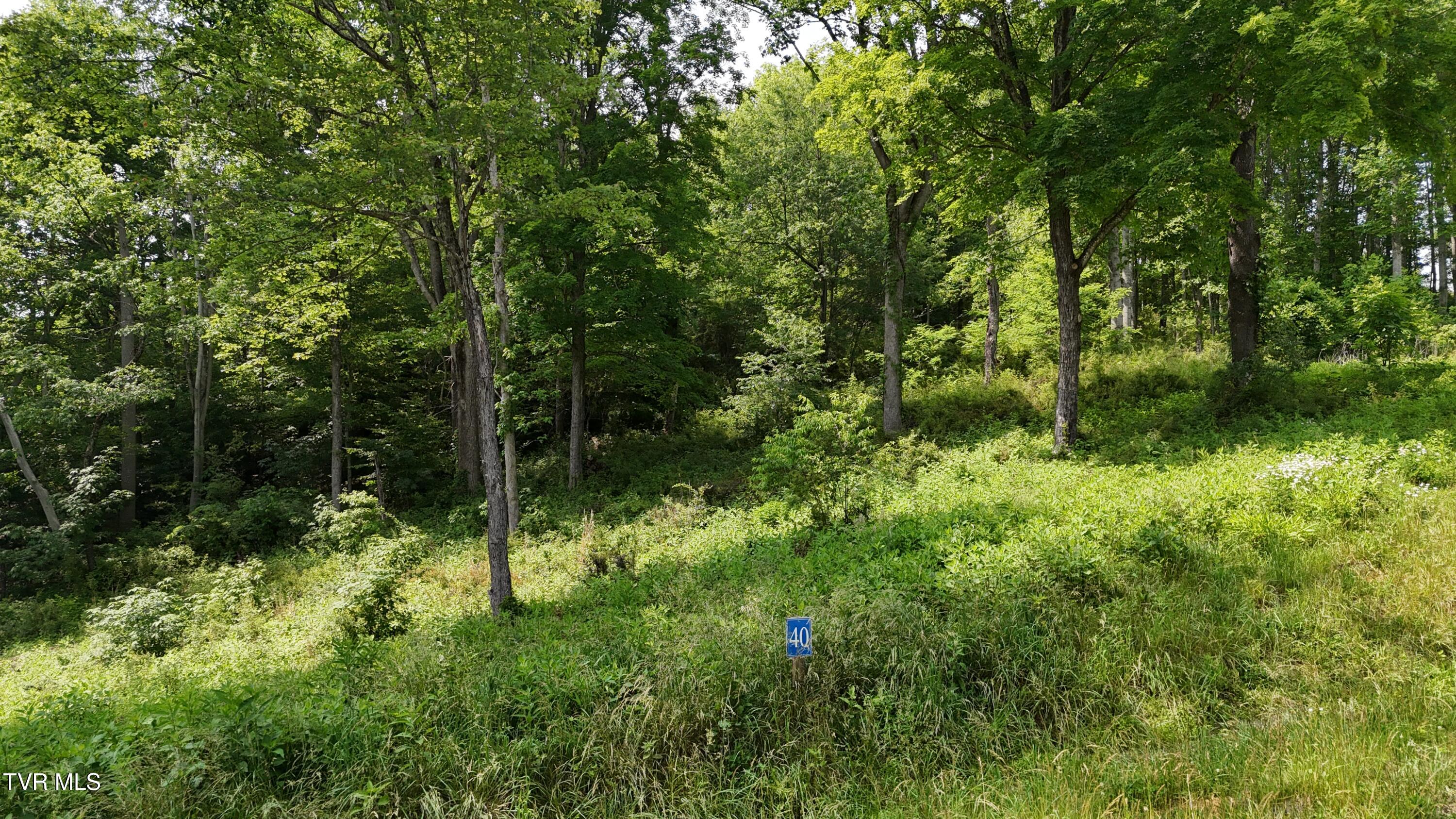 Tr 40 Cowan Town Road Property Photo