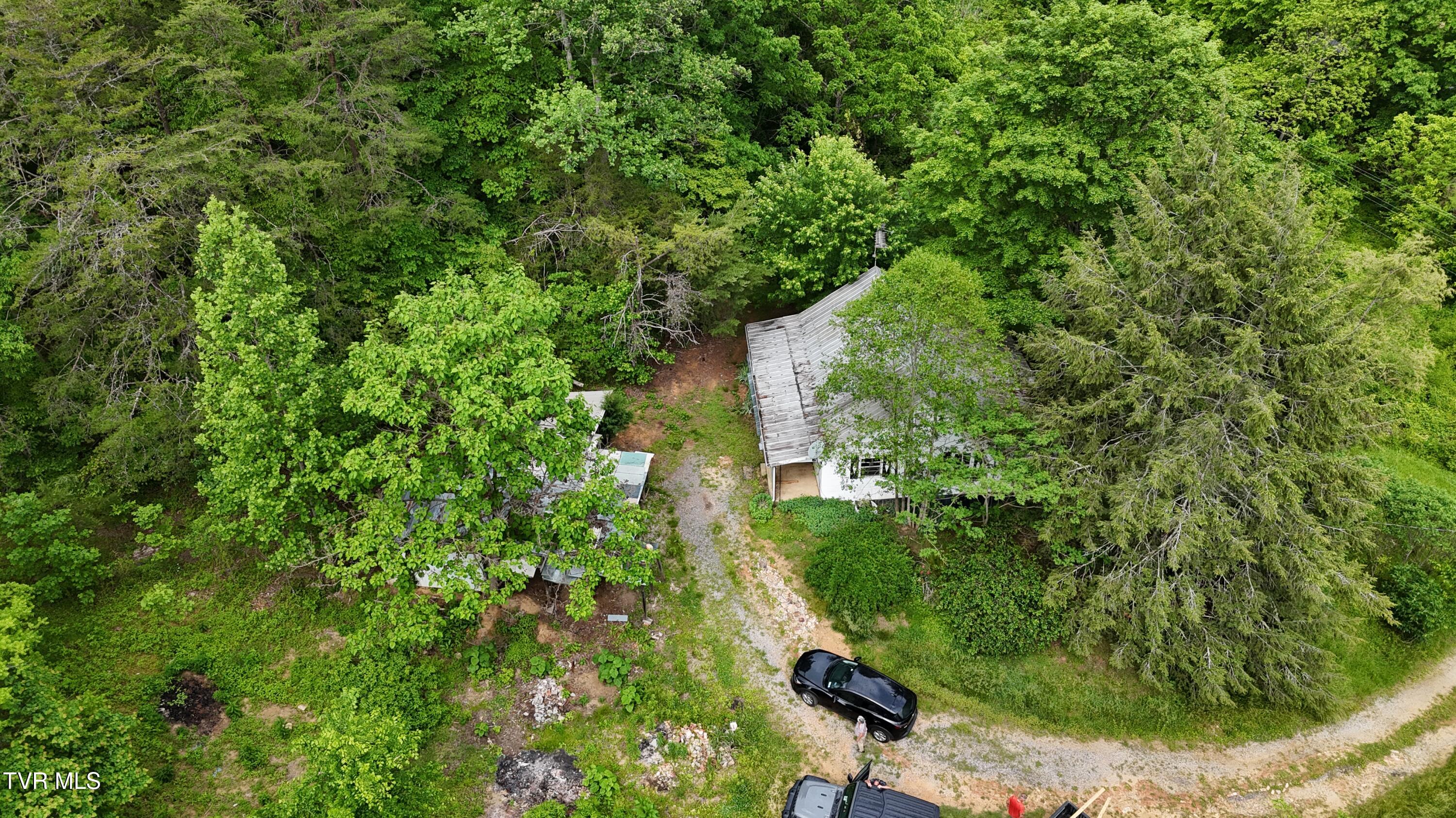289 Early Branch Road Property Photo