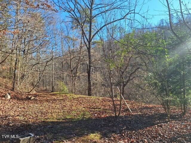289a Early Branch Road Property Photo