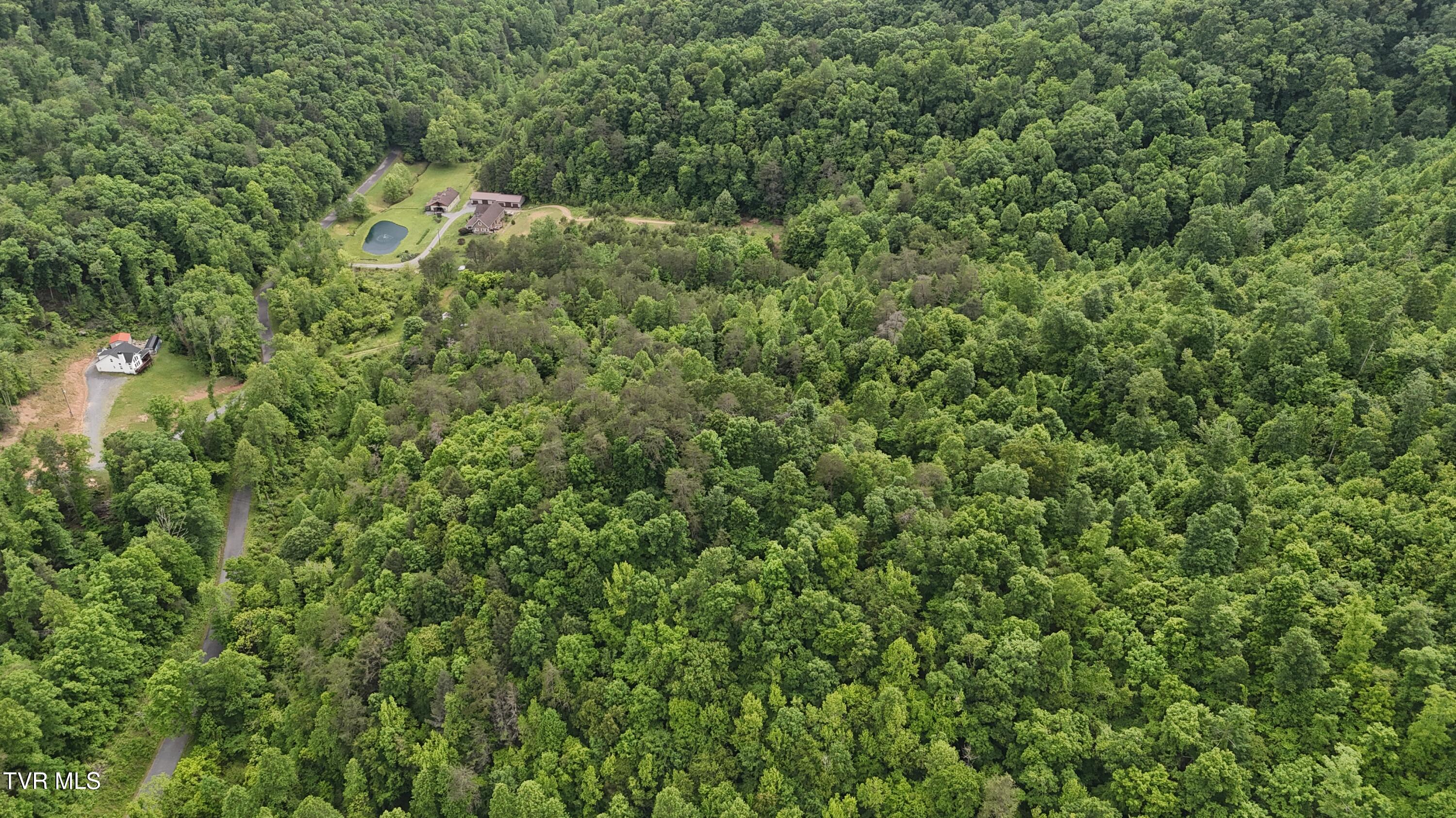 289a Early Branch Road Property Photo 17