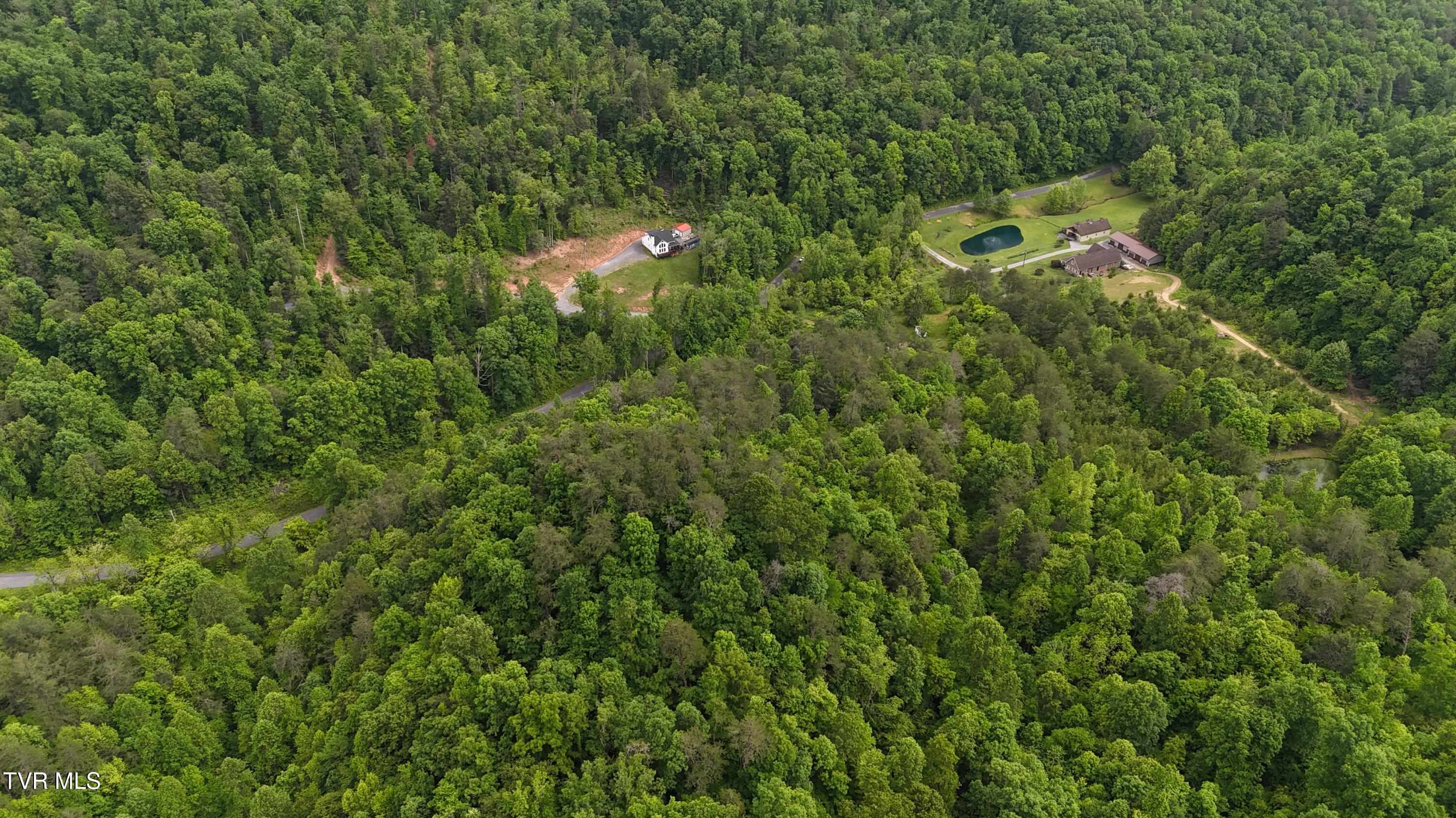 289a Early Branch Road Property Photo 21