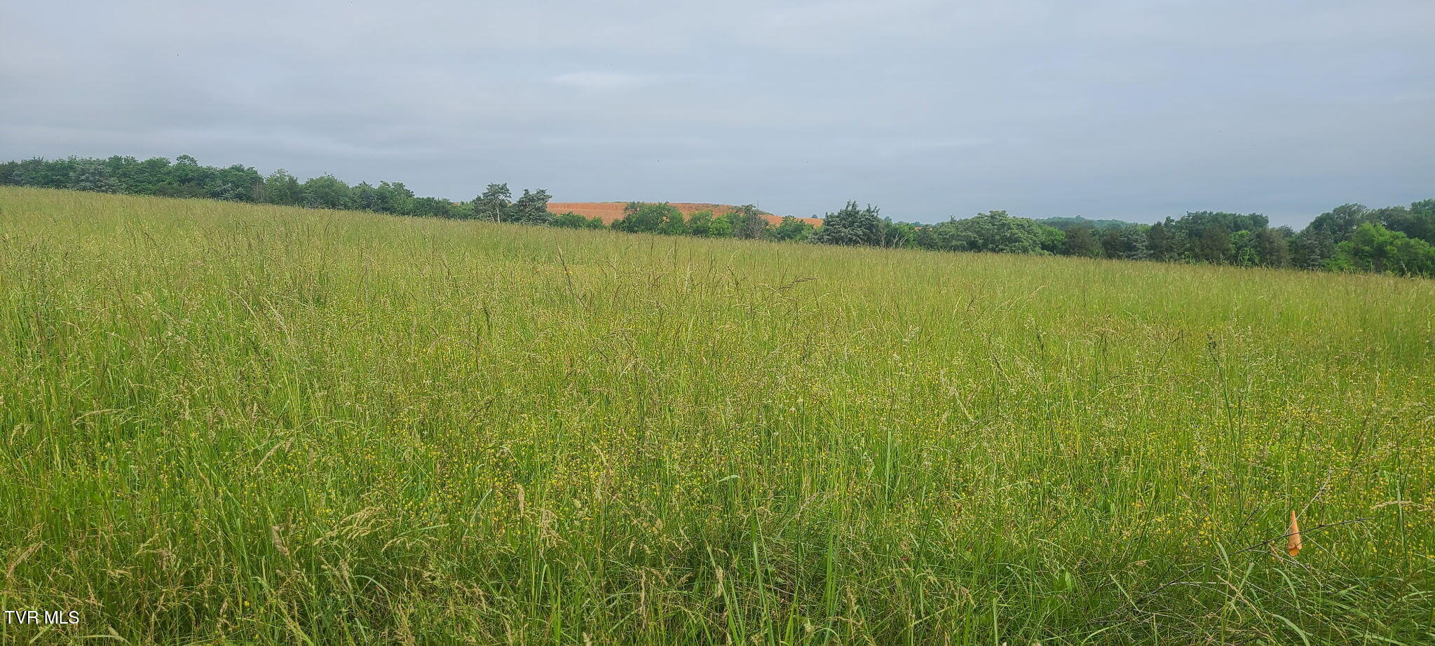 Lot 5 Valley Home Road Property Photo