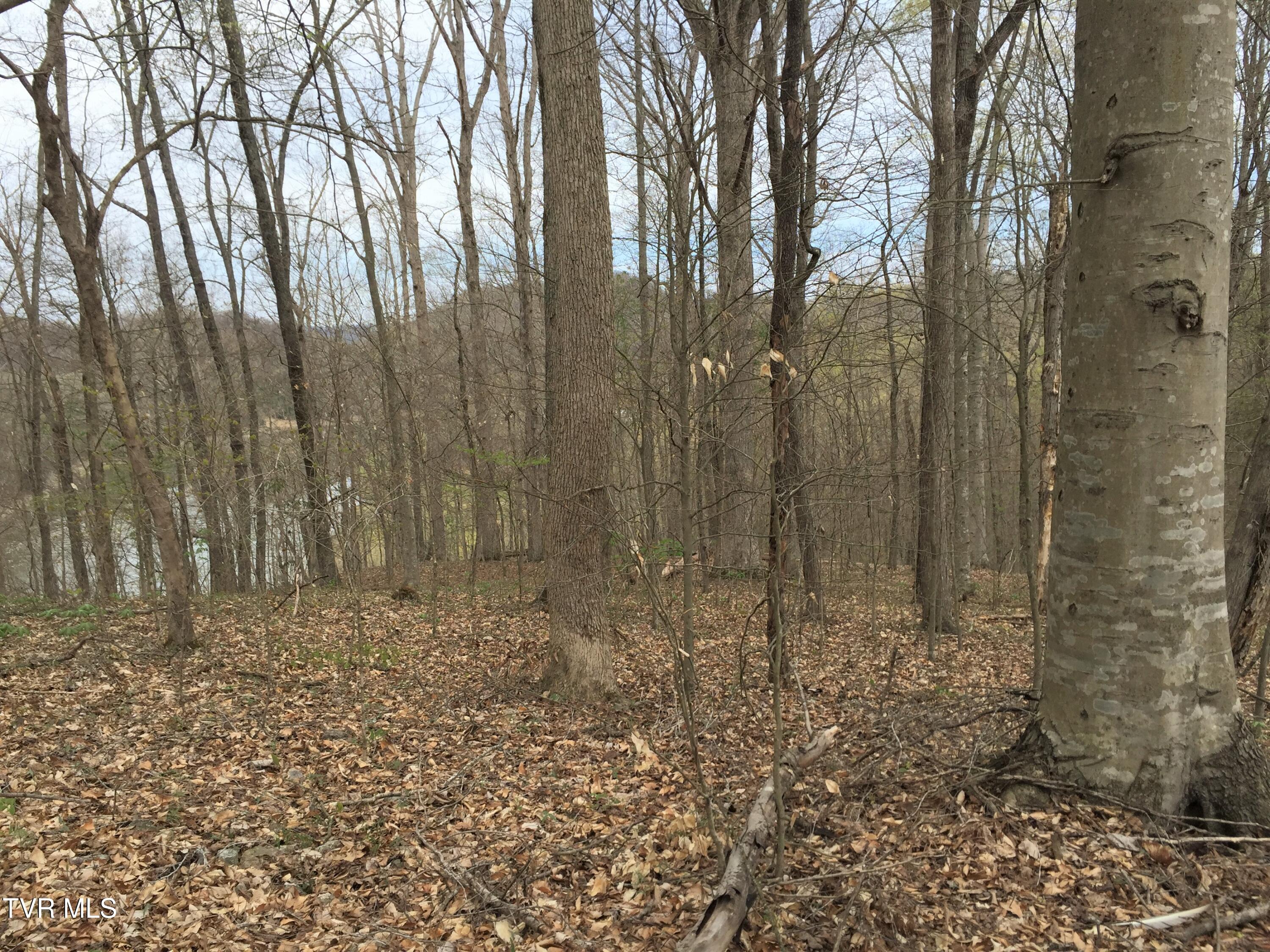 00 Horseshoe Bend Road Property Photo 1