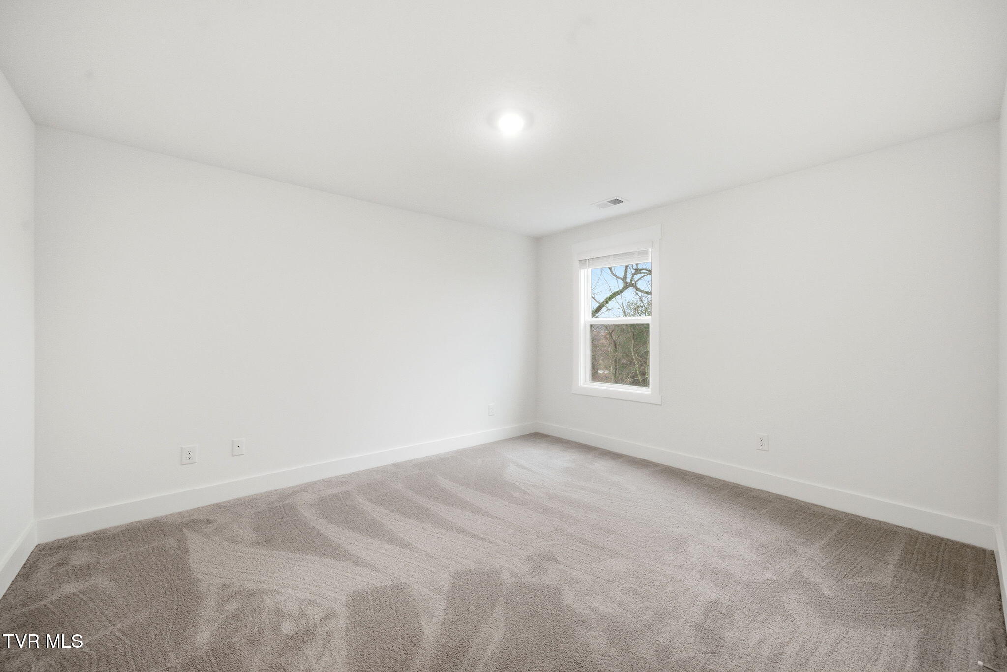 321 Cookie Loop Property Photo 10